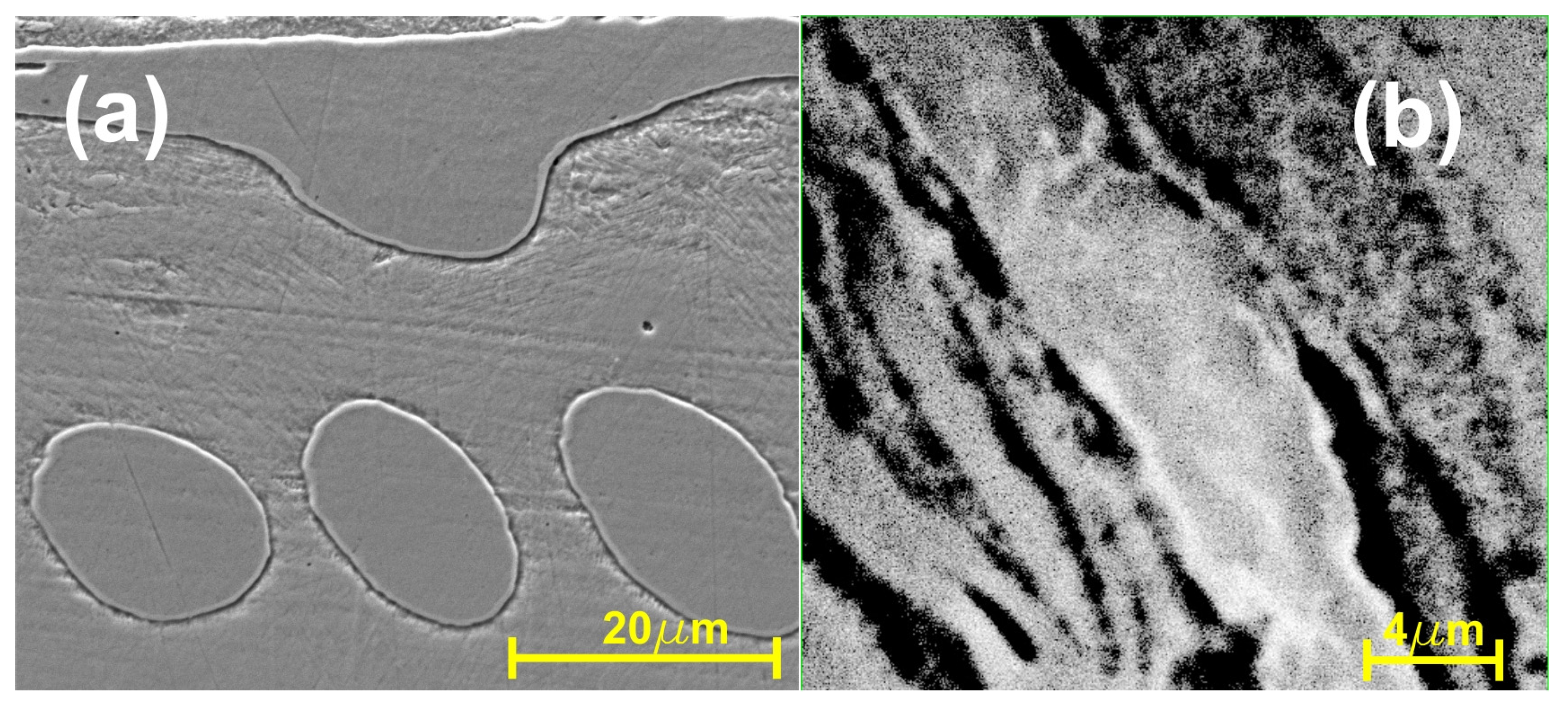 Nanomaterials 14 00405 g004
