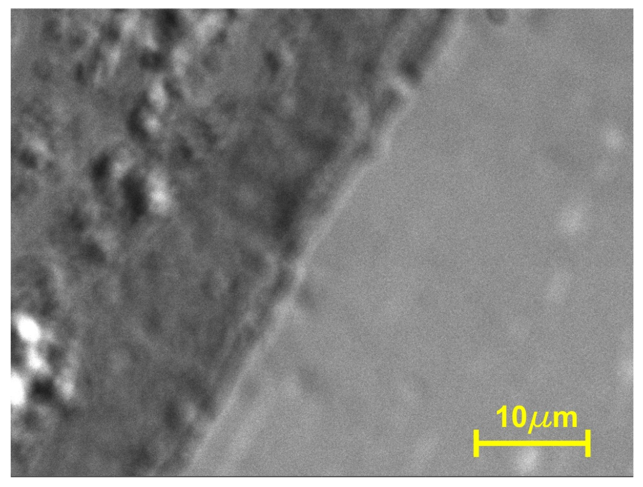 Nanomaterials 14 00405 g005