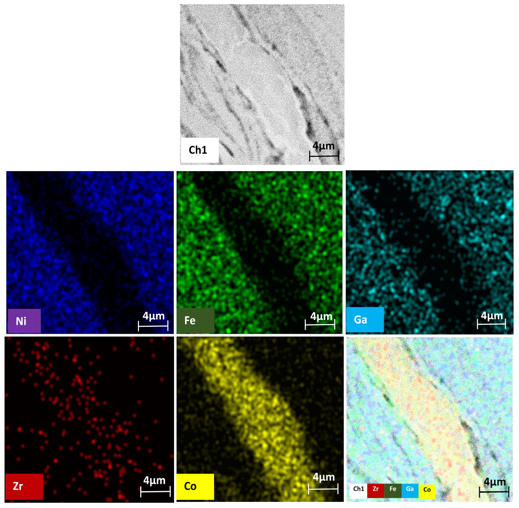 Nanomaterials 14 00405 g010