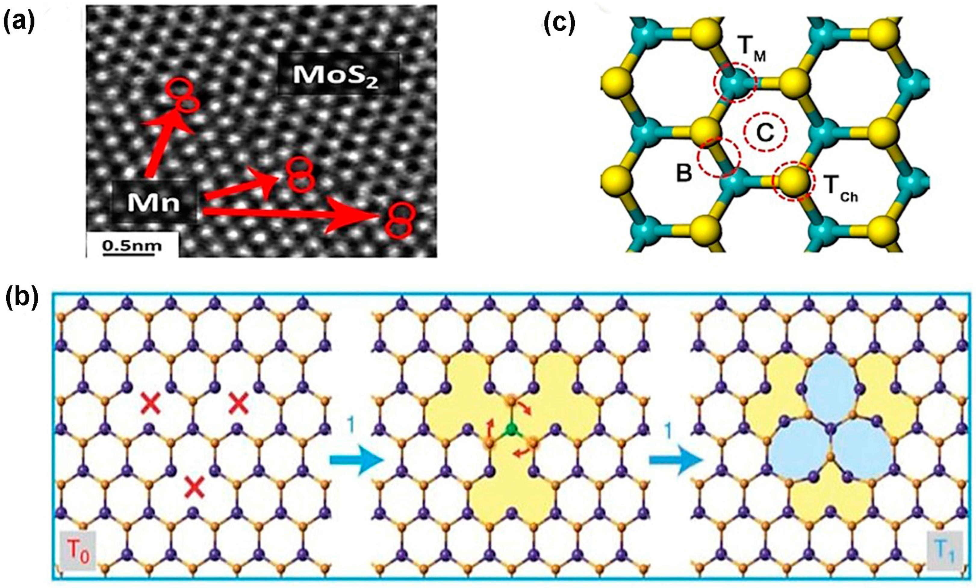 Nanomaterials 14 00410 g005 Nanomaterials 14 00410 g005