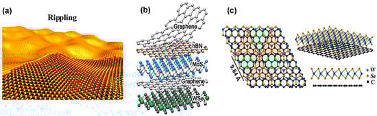 Nanomaterials 14 00410 g007