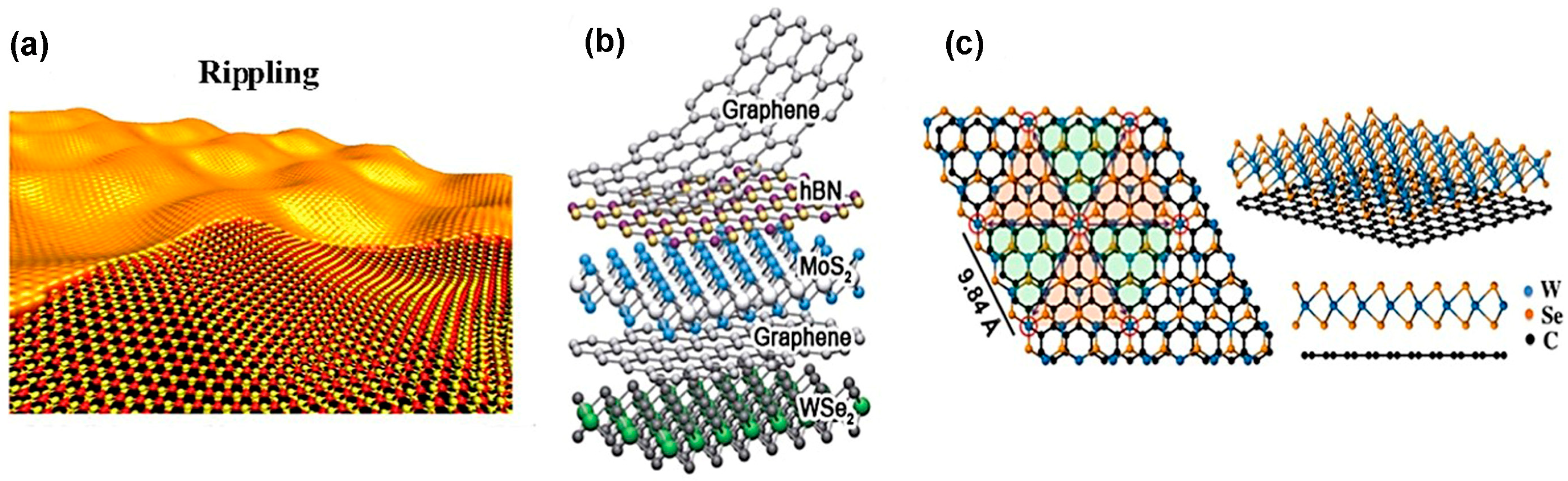 Nanomaterials 14 00410 g007 Nanomaterials 14 00410 g007