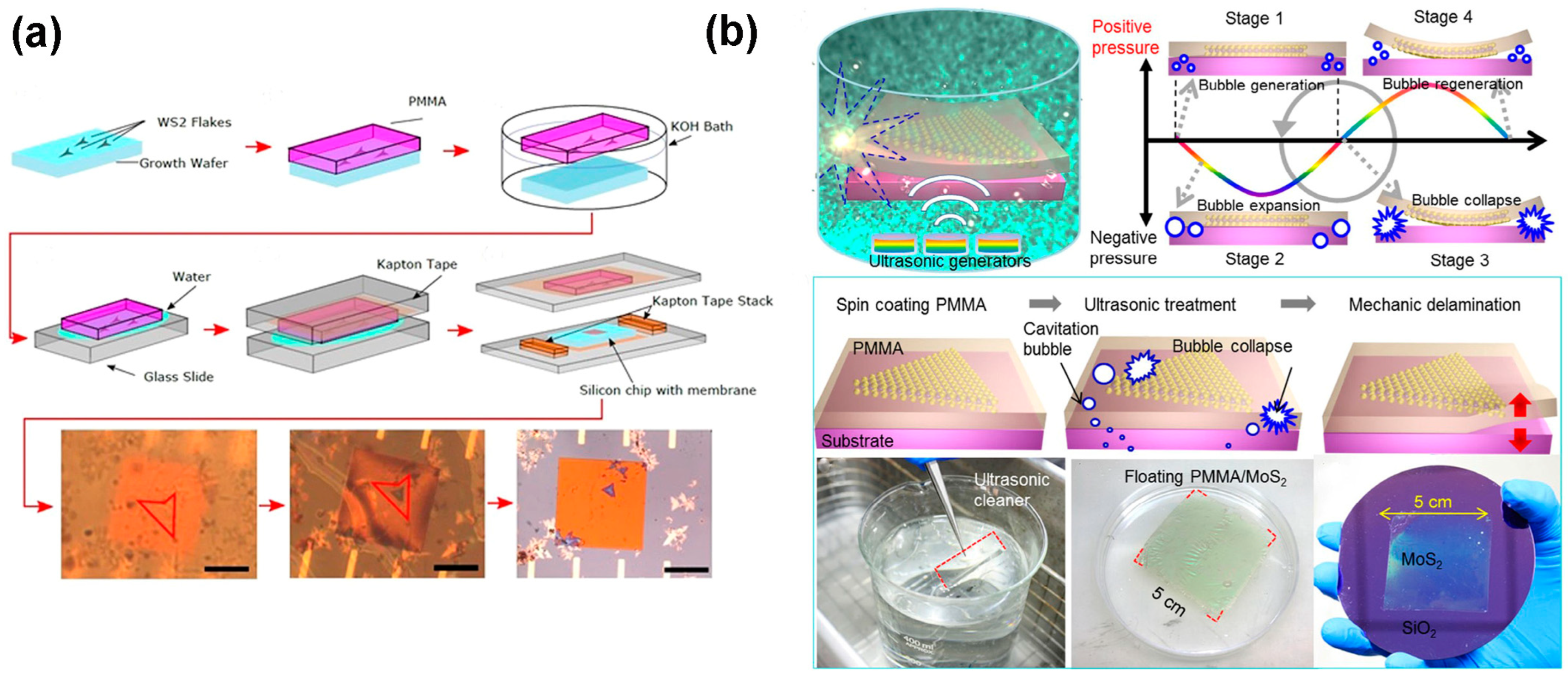 Nanomaterials 14 00410 g009 Nanomaterials 14 00410 g009