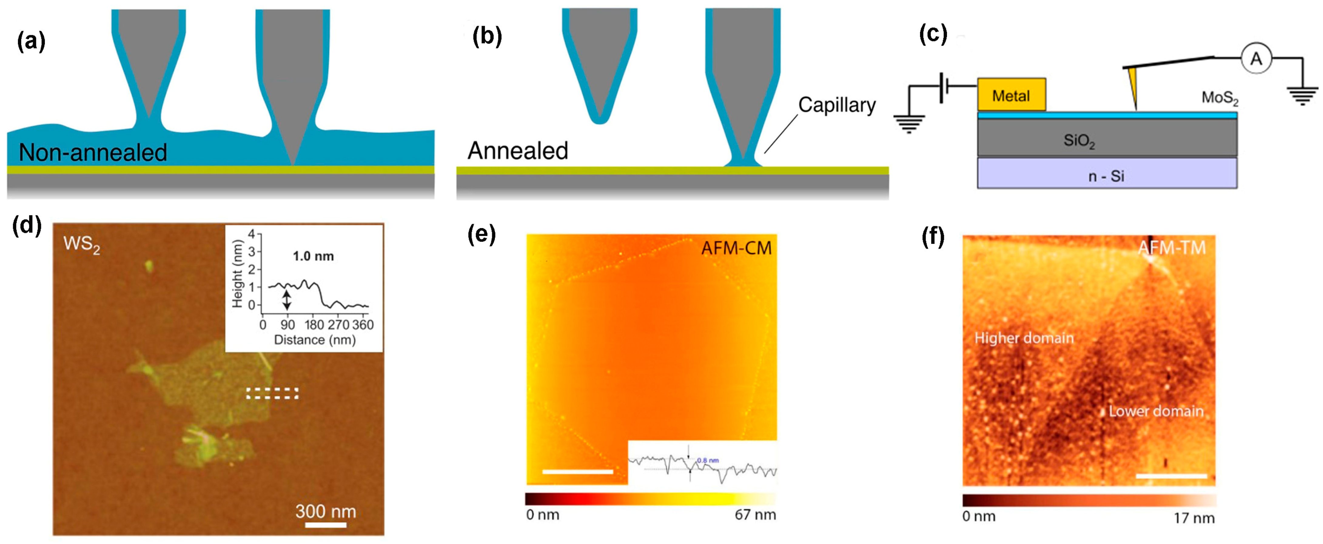 Nanomaterials 14 00410 g012 Nanomaterials 14 00410 g012
