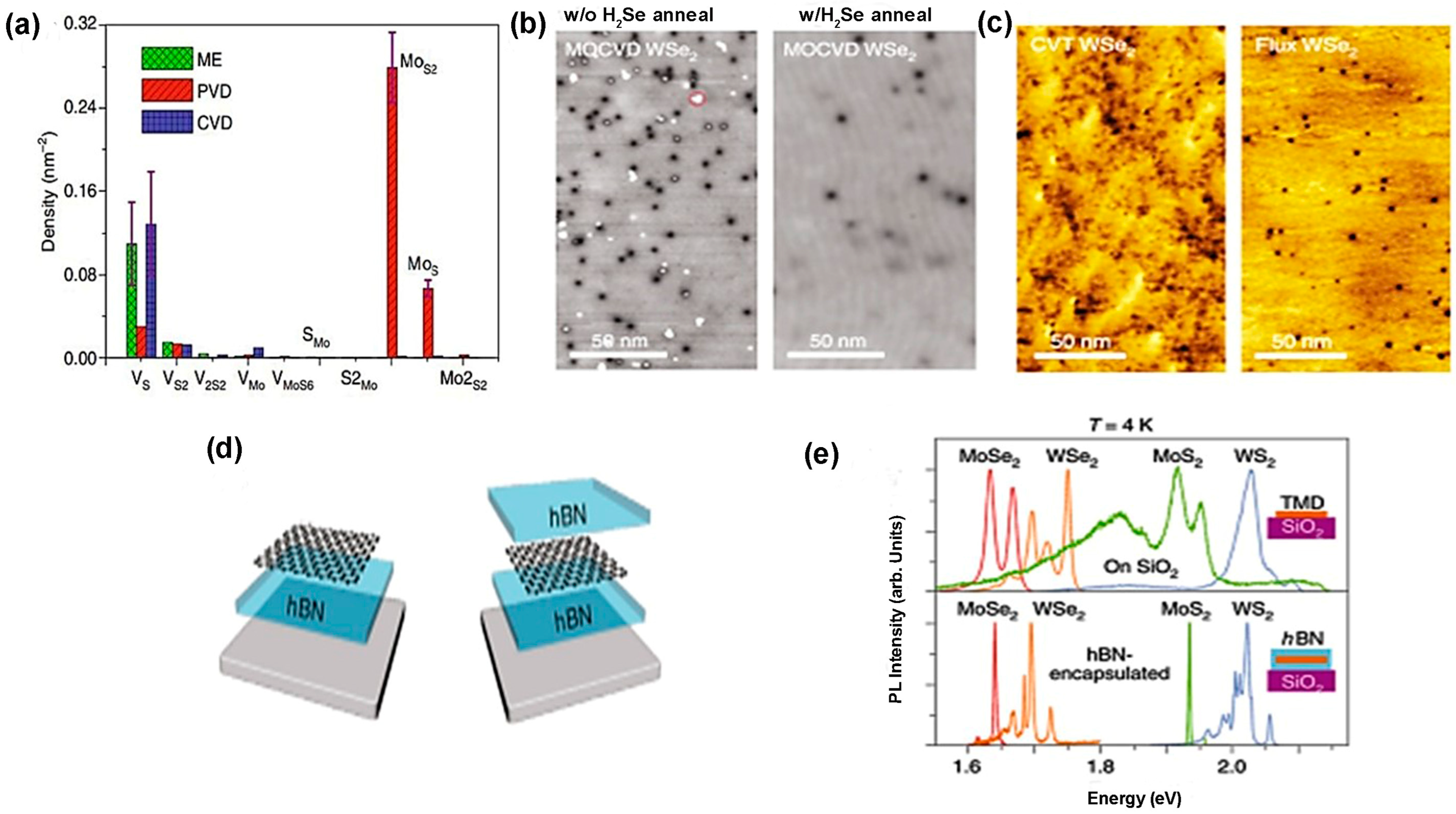 Nanomaterials 14 00410 g013 Nanomaterials 14 00410 g013
