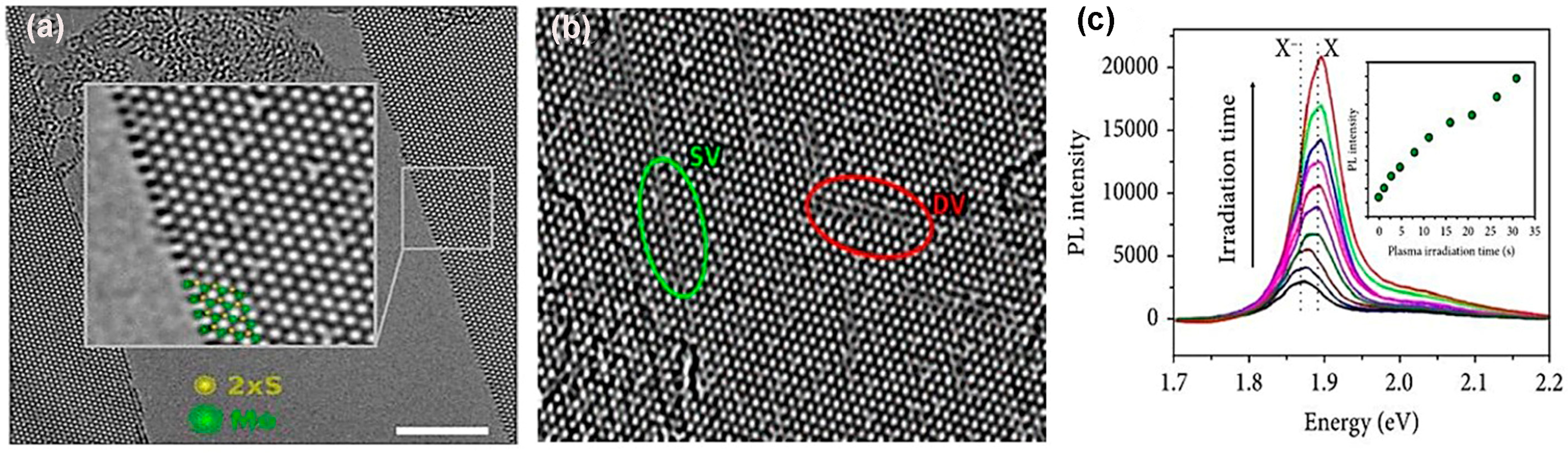 Nanomaterials 14 00410 g014 Nanomaterials 14 00410 g014