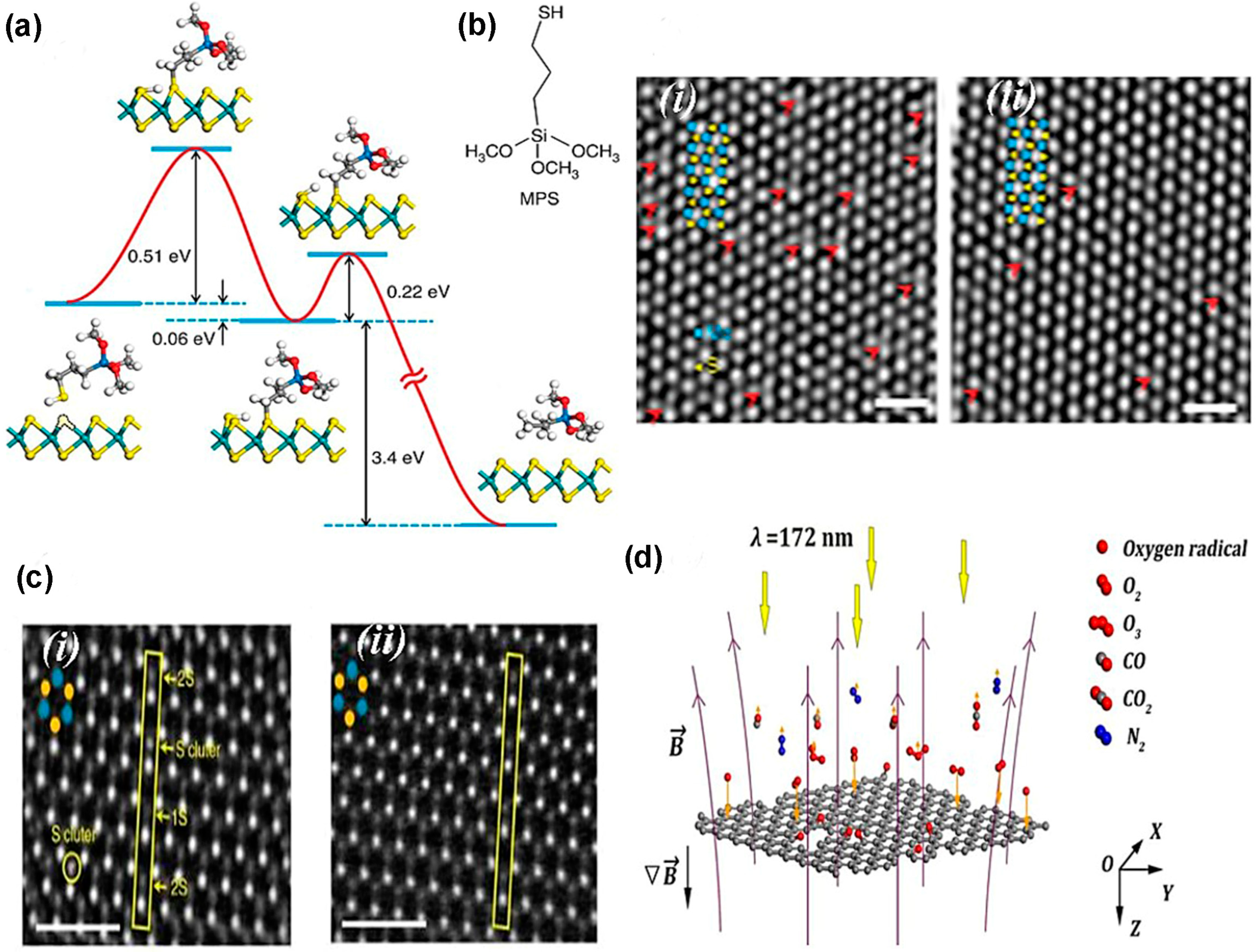 Nanomaterials 14 00410 g015 Nanomaterials 14 00410 g015