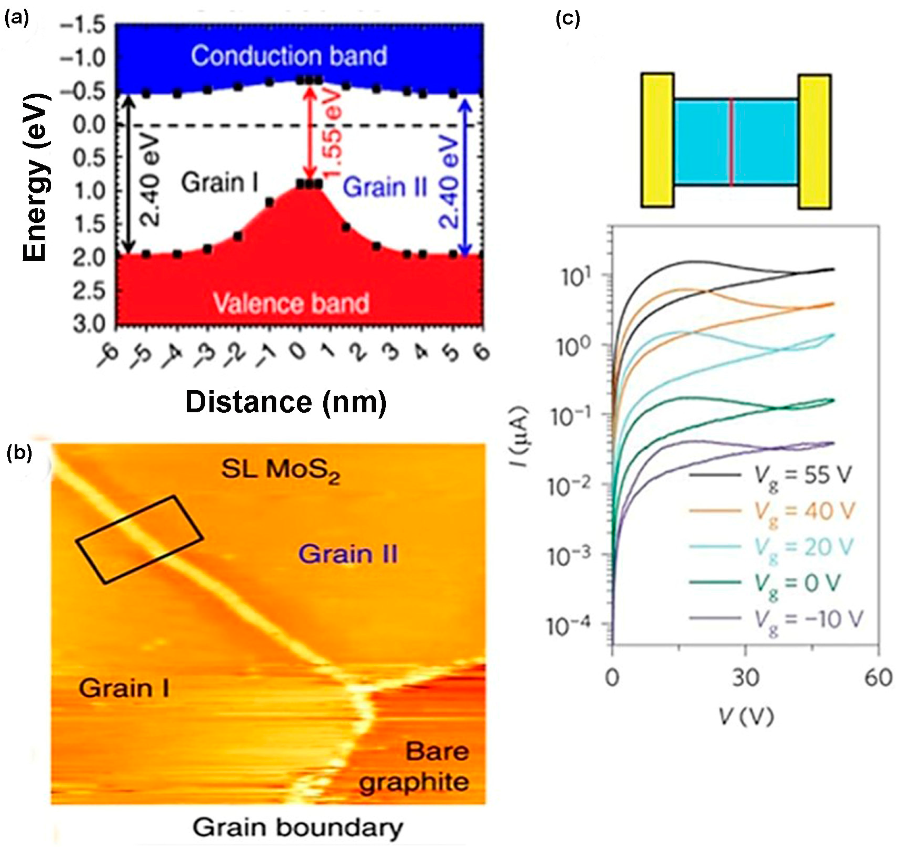 Nanomaterials 14 00410 g017 Nanomaterials 14 00410 g017