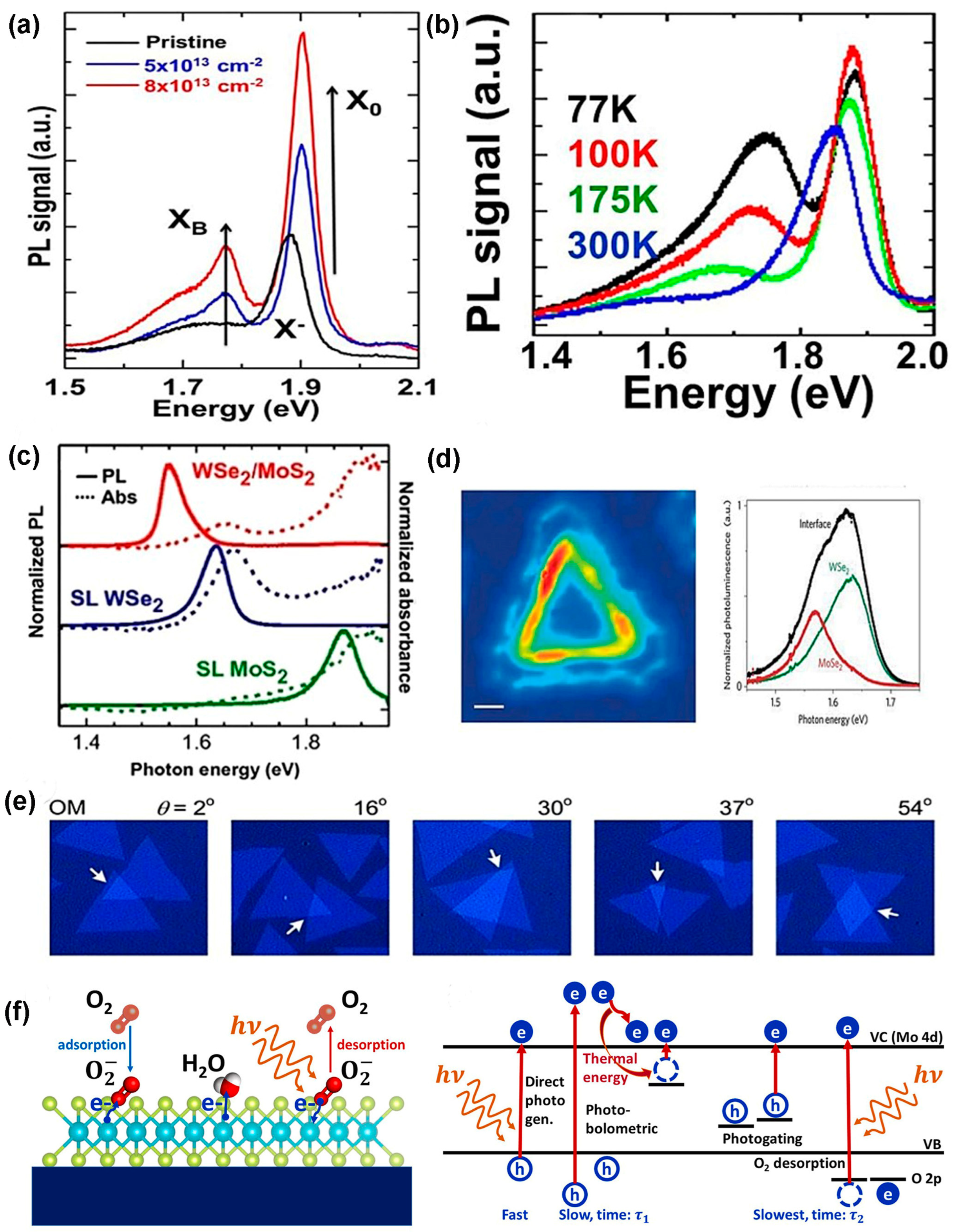 Nanomaterials 14 00410 g018 Nanomaterials 14 00410 g018