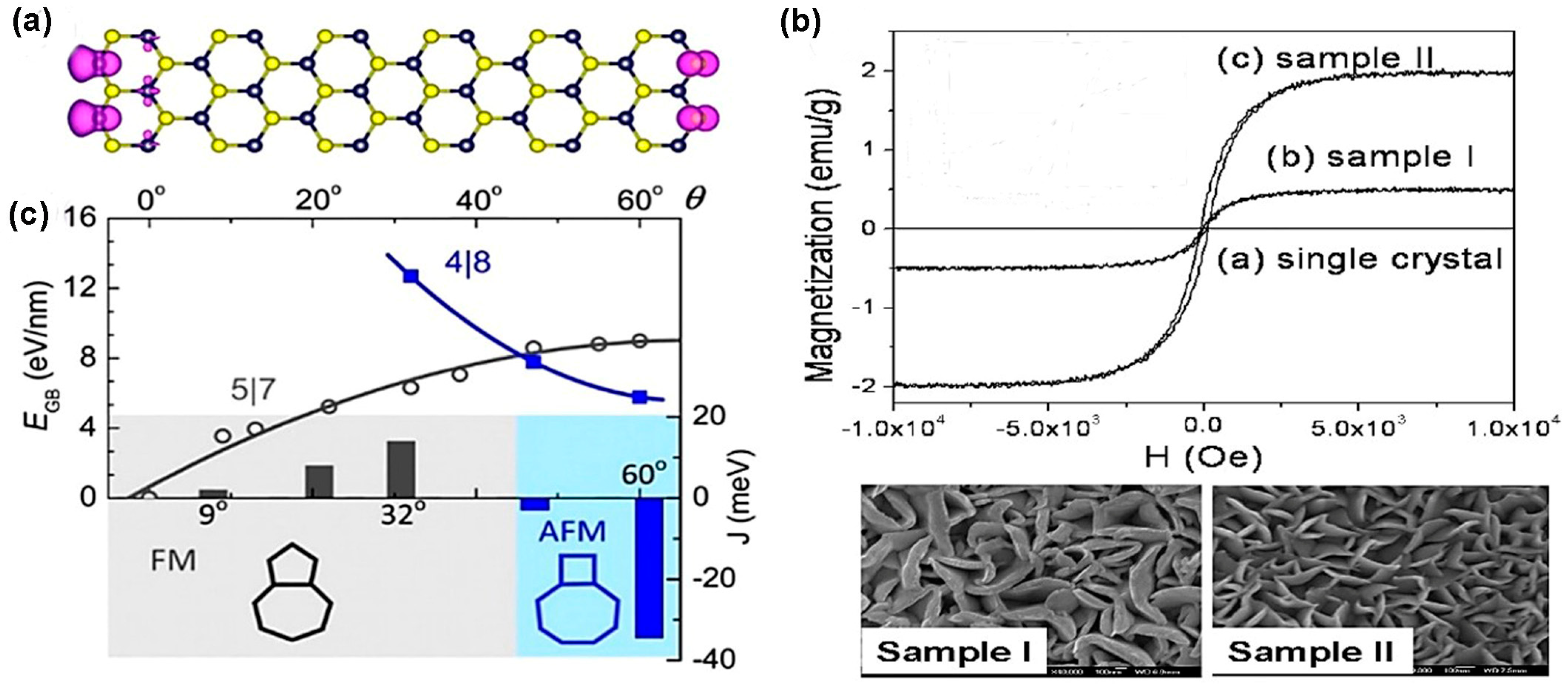 Nanomaterials 14 00410 g019 Nanomaterials 14 00410 g019