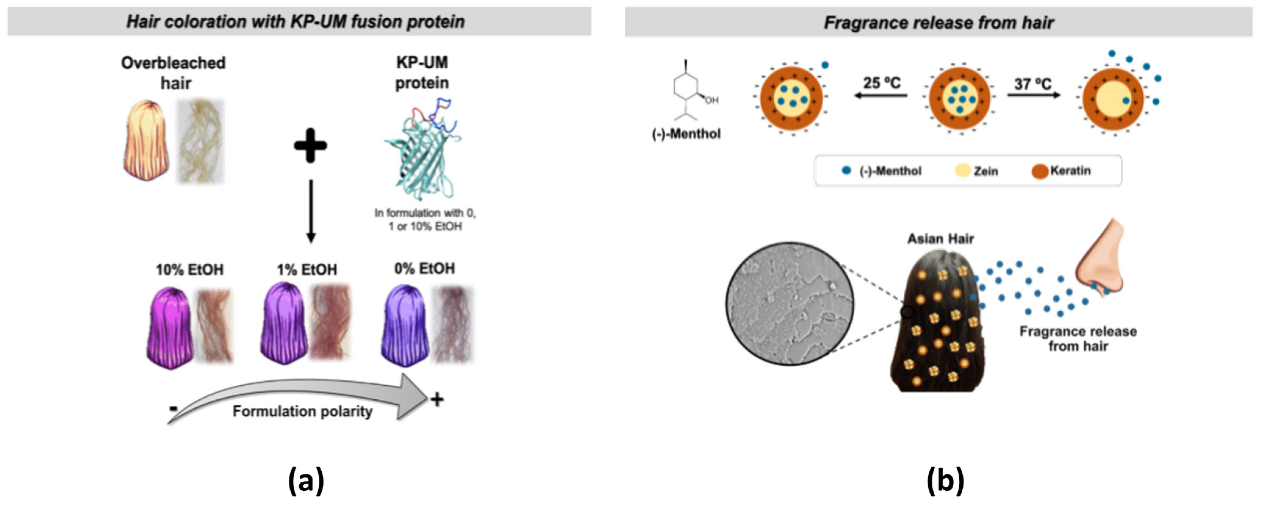 Nanomaterials 14 00414 g010