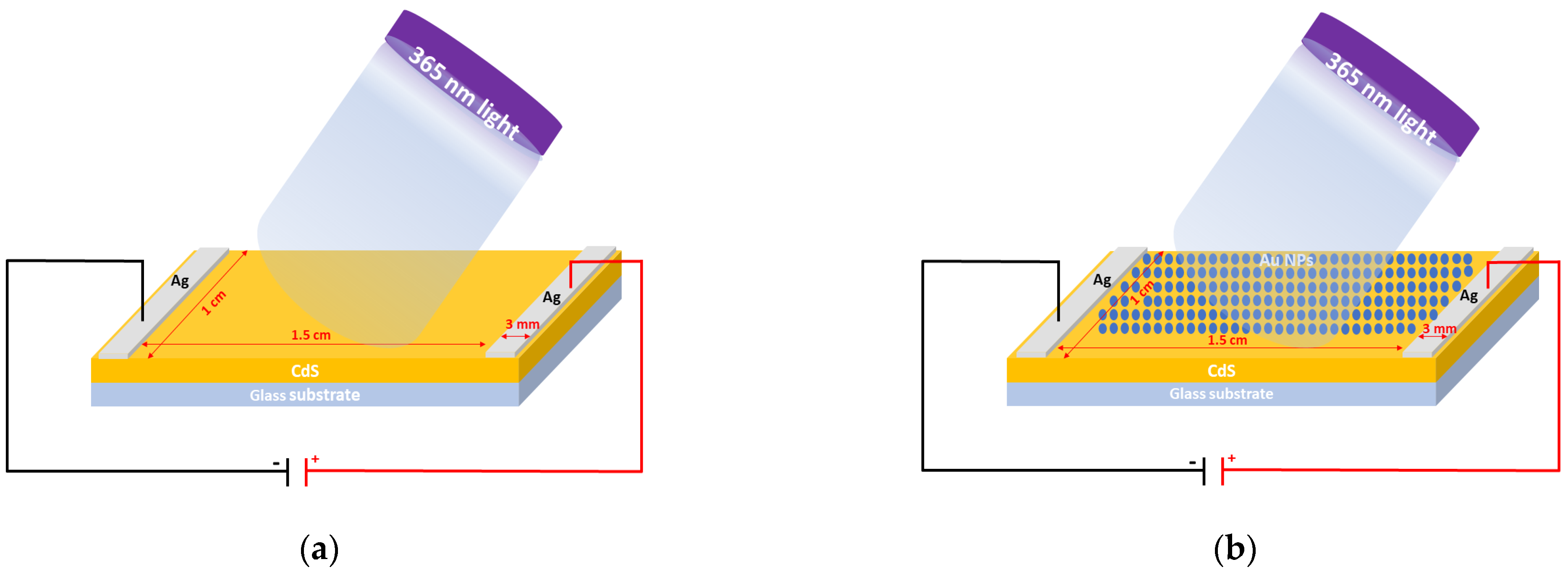 Nanomaterials 14 00416 g001