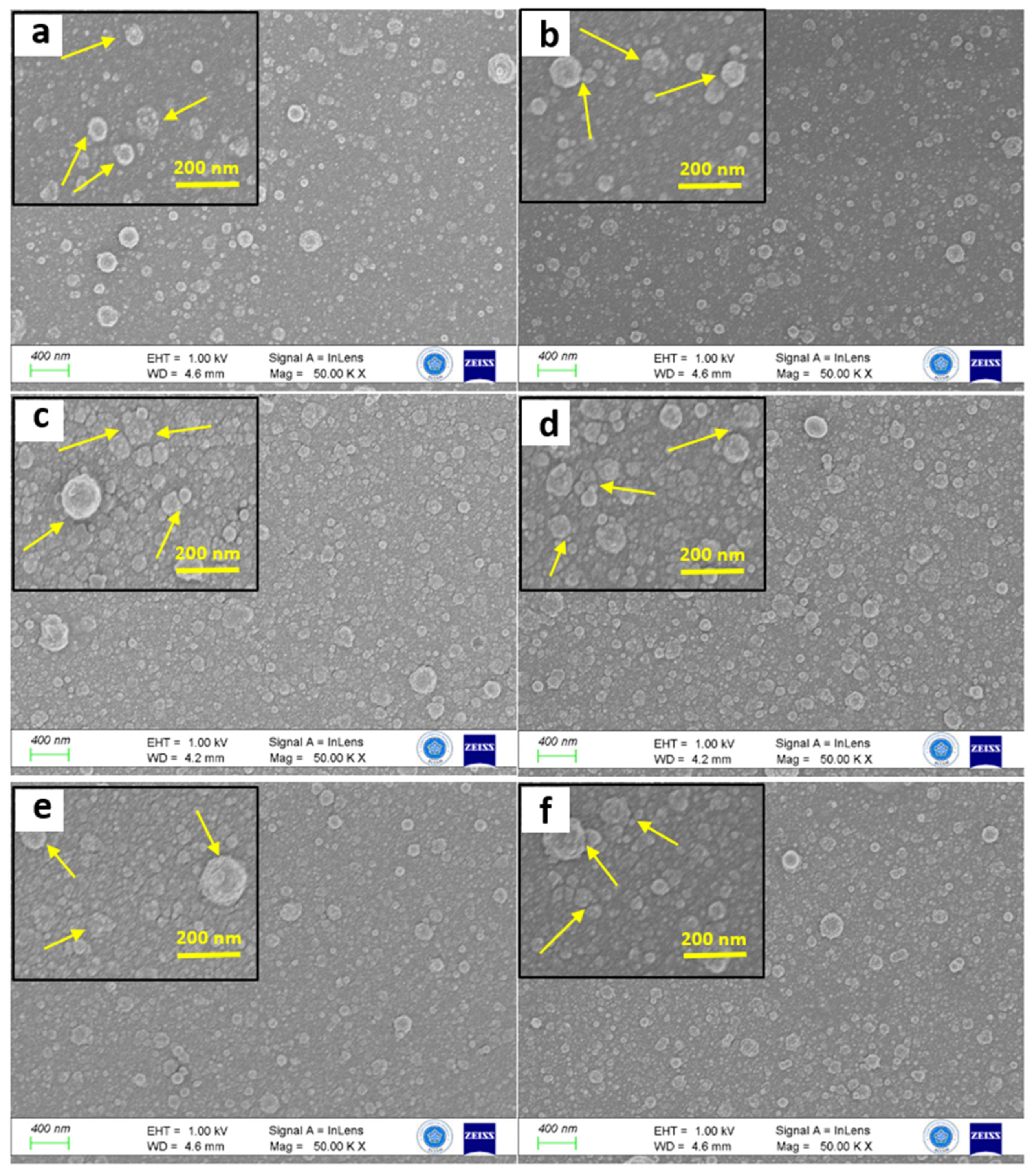 Nanomaterials 14 00416 g003