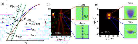 Nanomaterials 14 00425 g007