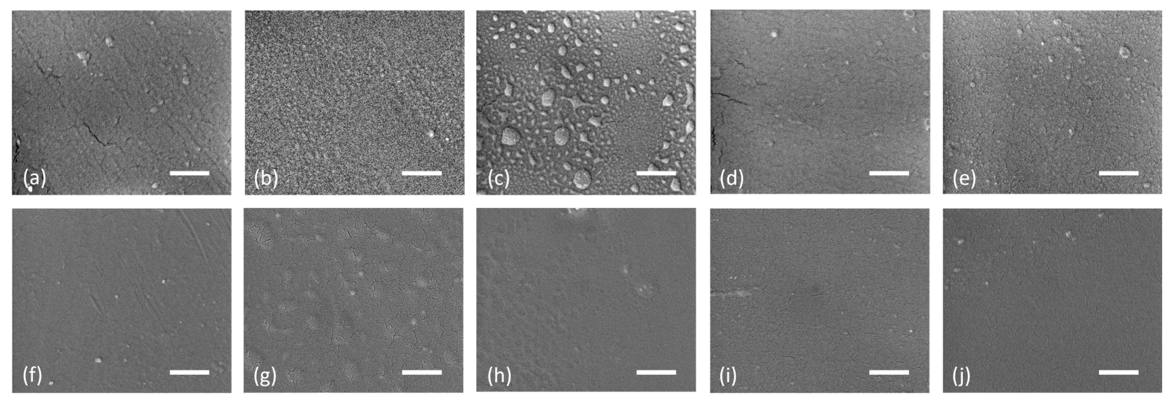 Nanomaterials 14 00426 g007