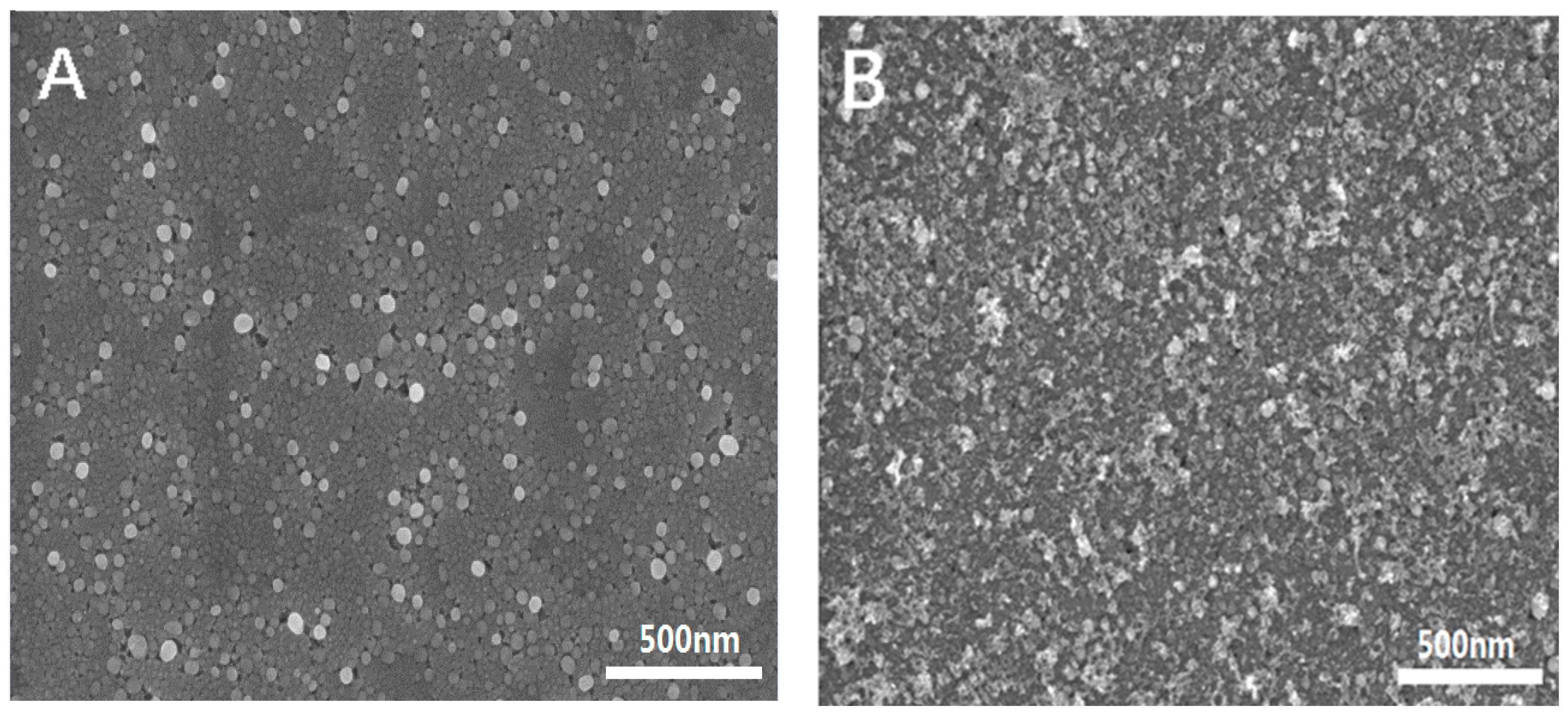 Nanomaterials 14 00427 g001
