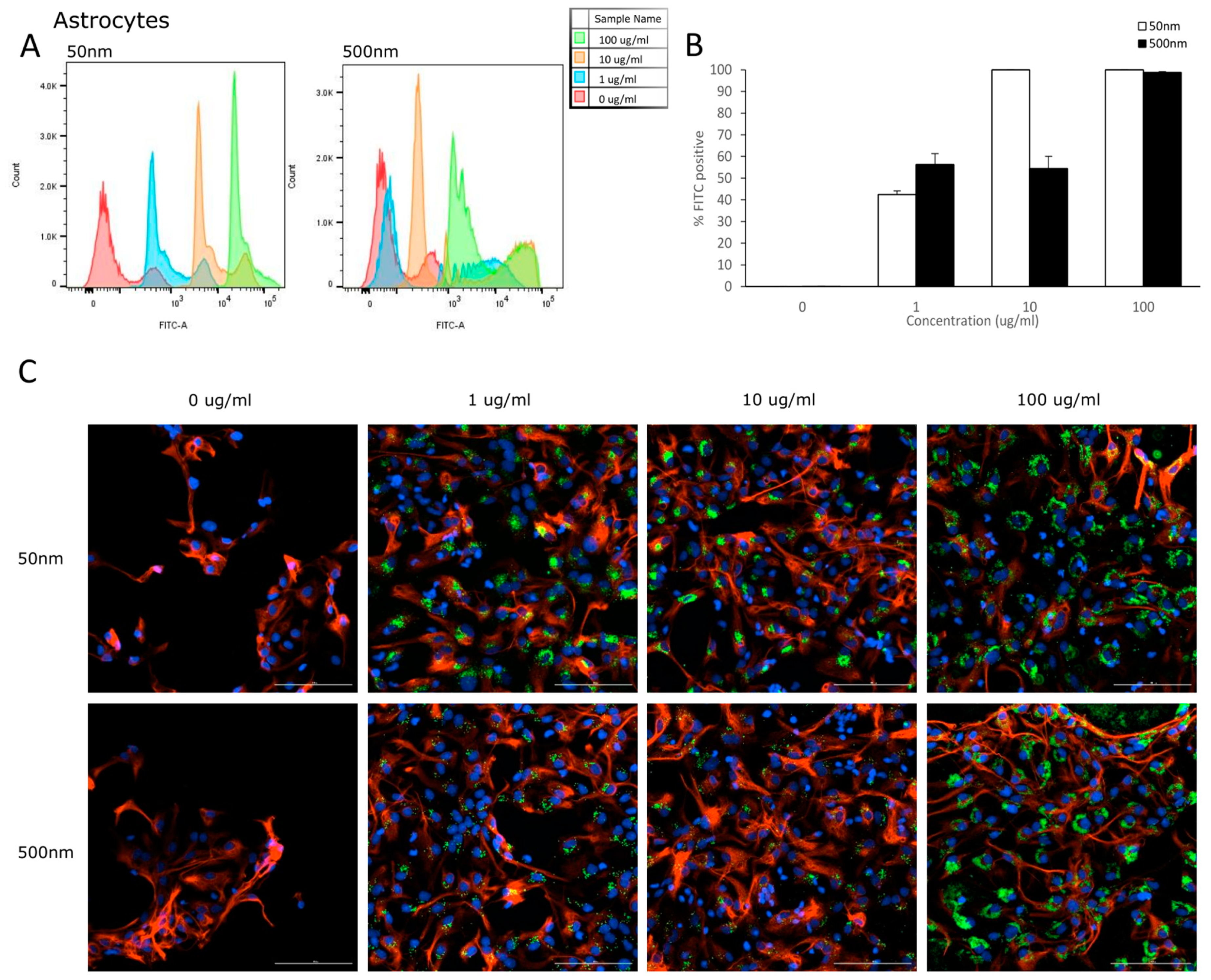 Nanomaterials 14 00429 g004