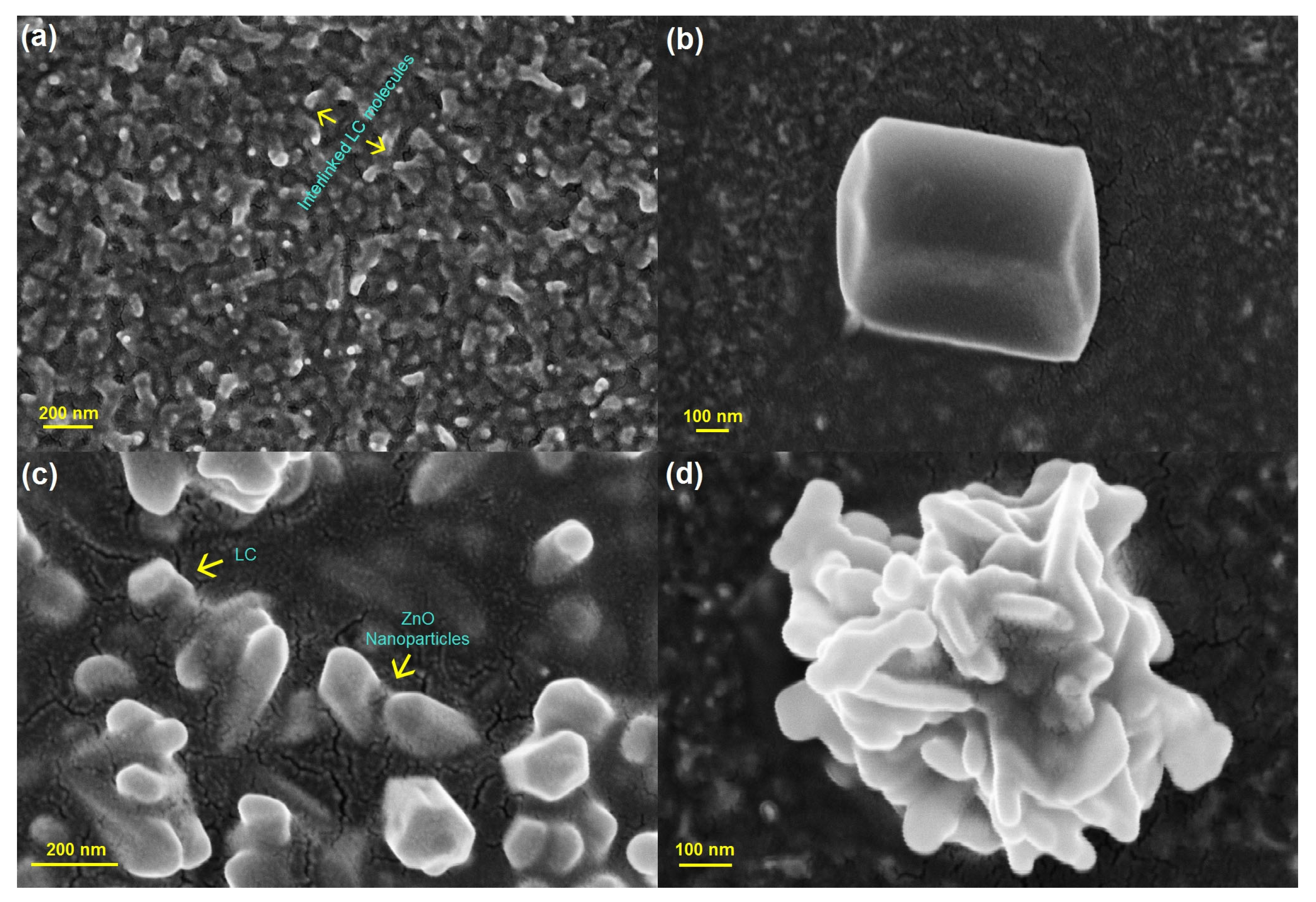 Nanomaterials 14 00436 g001 Nanomaterials 14 00436 g001