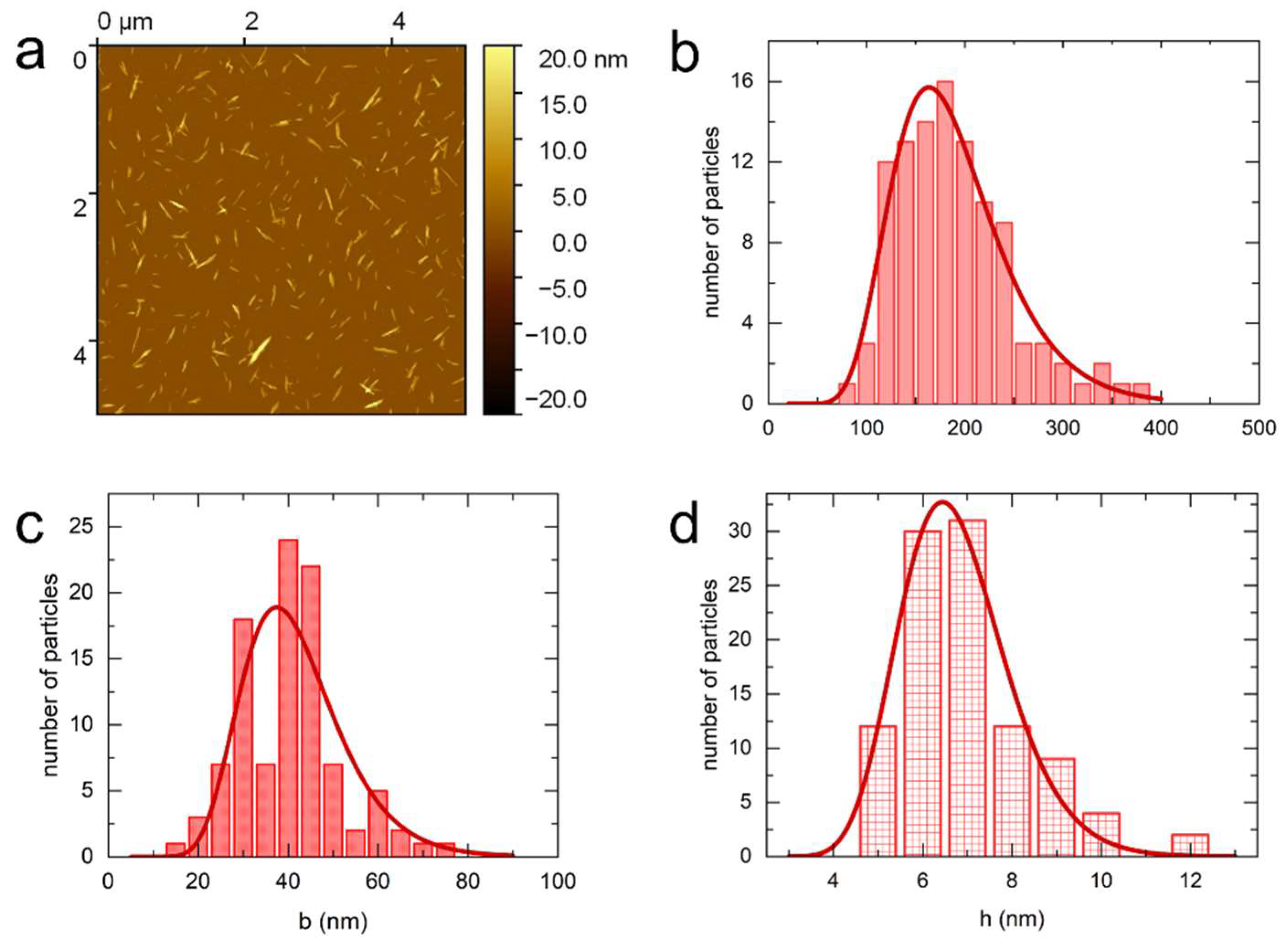 Nanomaterials 14 00455 g001
