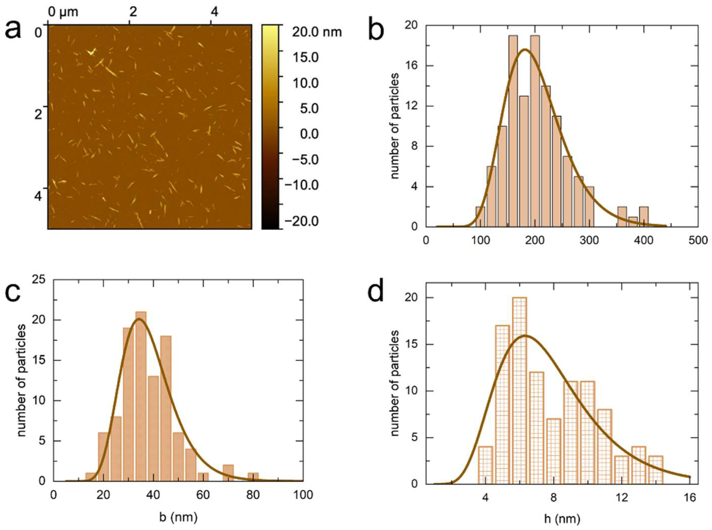 Nanomaterials 14 00455 g002