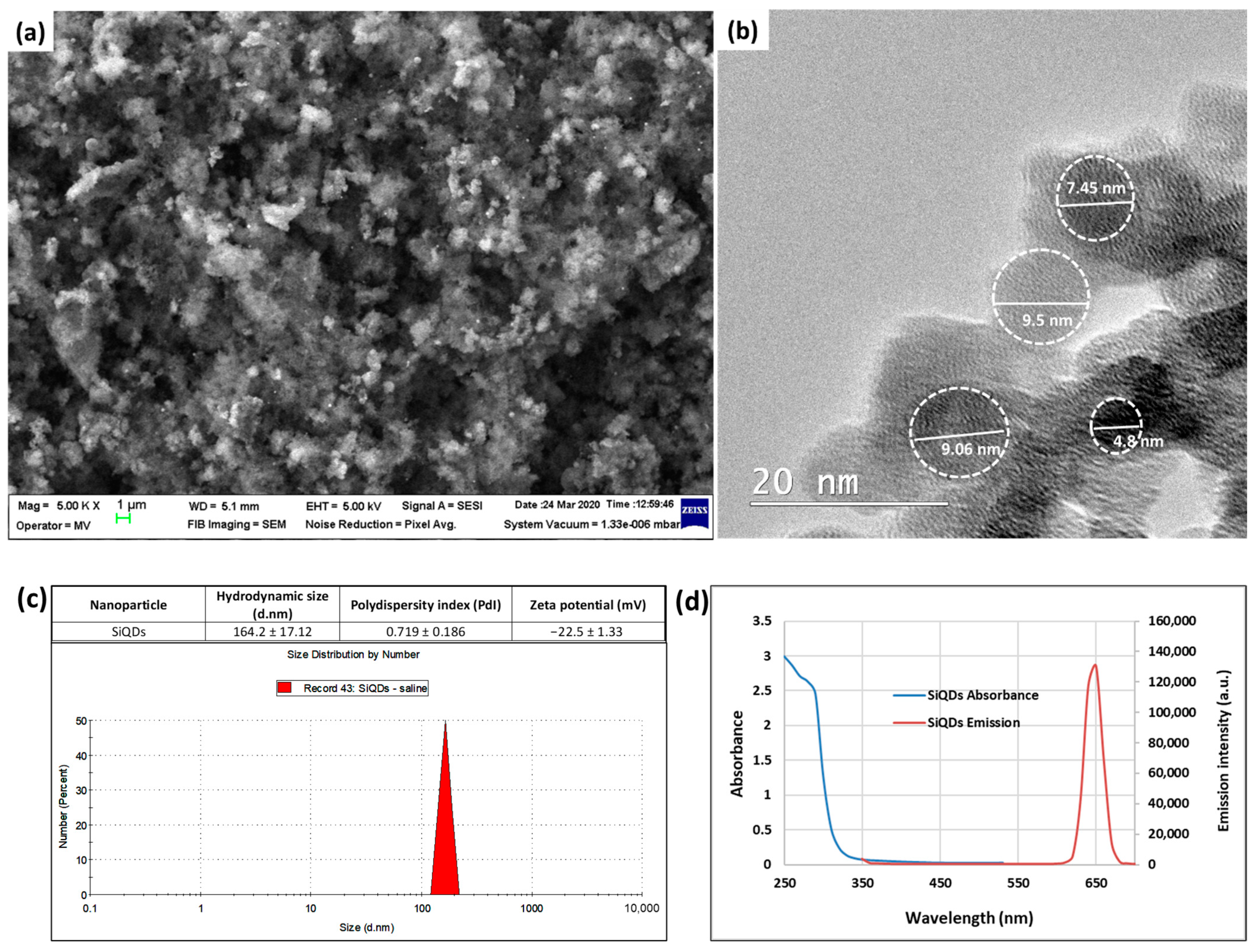 Nanomaterials 14 00457 g001 Nanomaterials 14 00457 g001