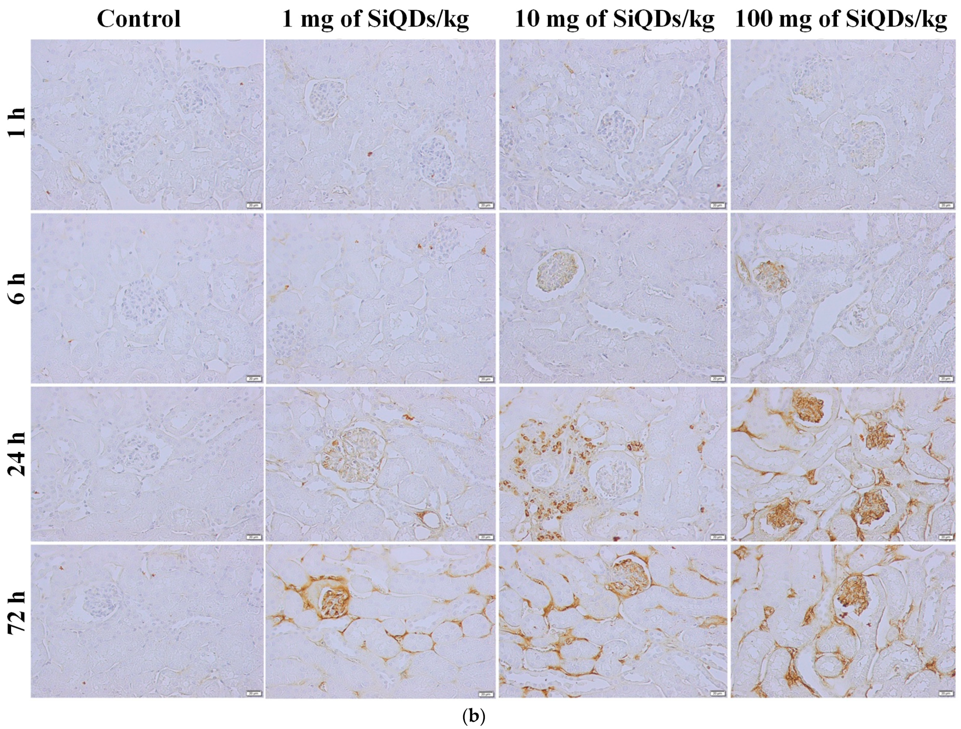 Nanomaterials 14 00457 g003b Nanomaterials 14 00457 g003b