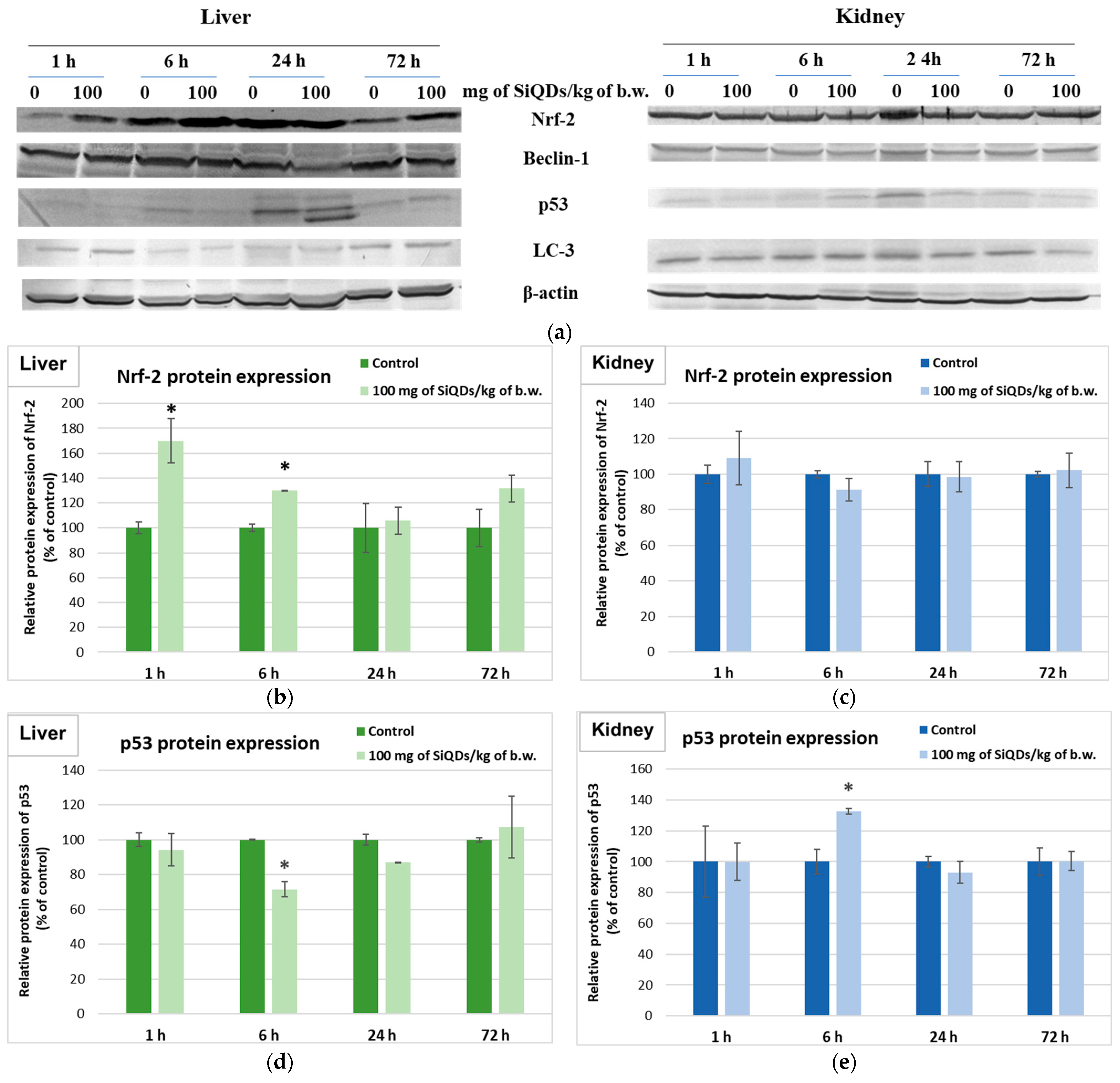 Nanomaterials 14 00457 g006a Nanomaterials 14 00457 g006a