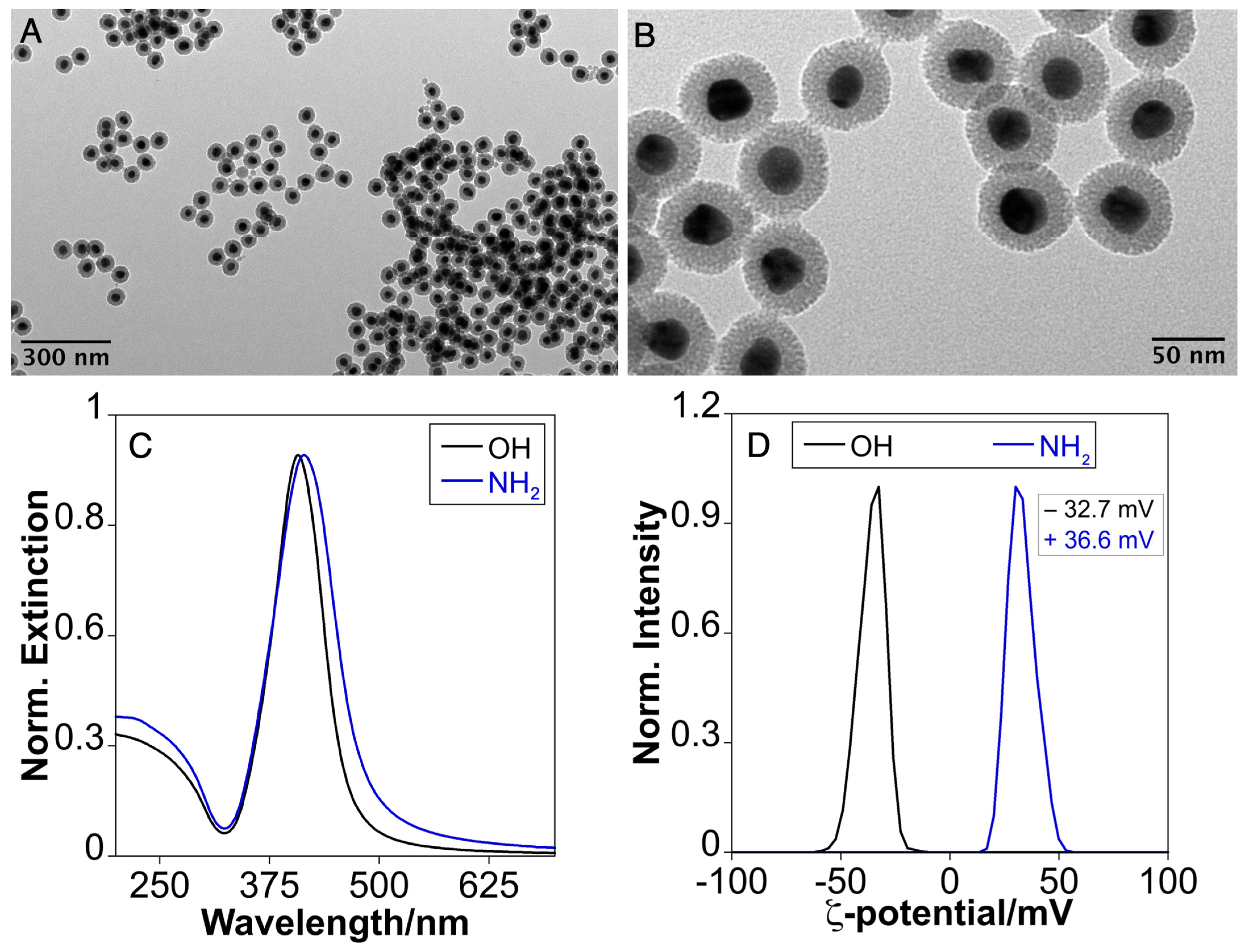 Nanomaterials 14 00462 g003