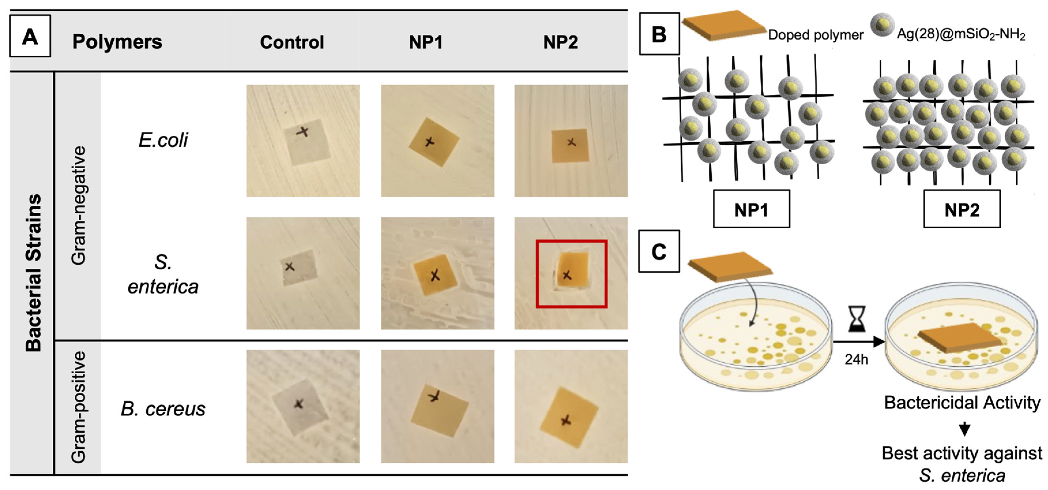Nanomaterials 14 00462 g007