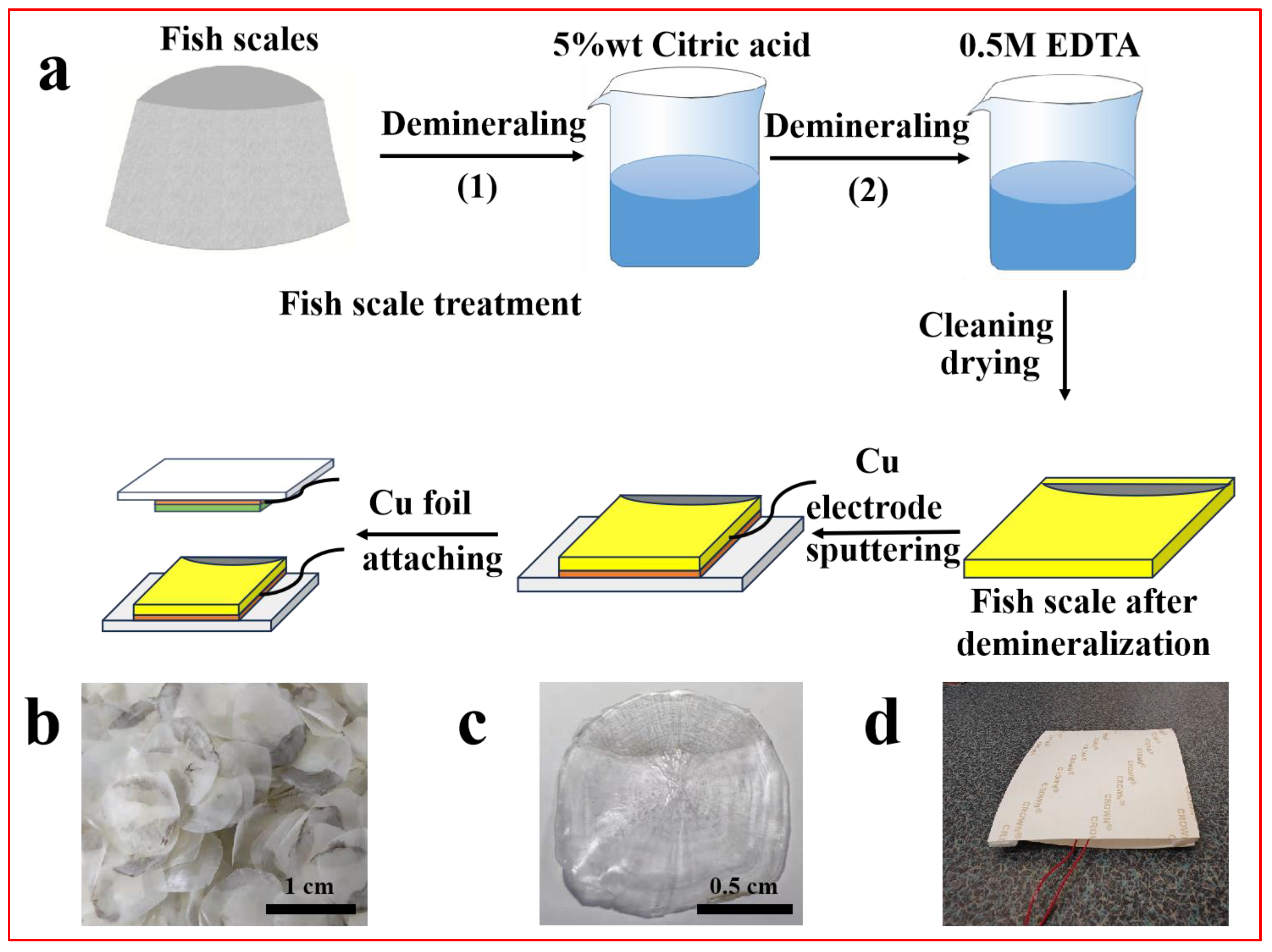 Nanomaterials 14 00463 g001 Nanomaterials 14 00463 g001