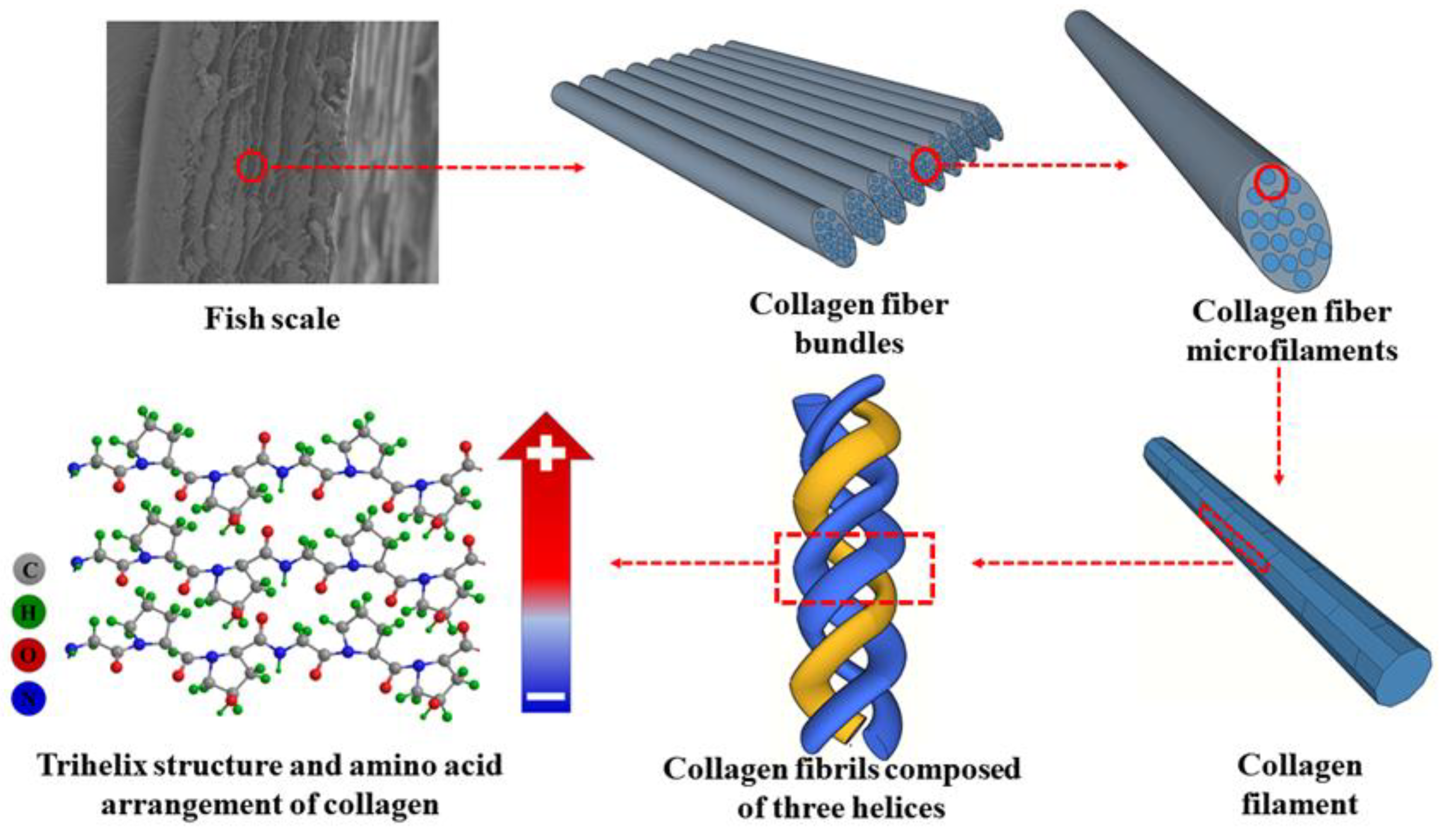 Nanomaterials 14 00463 g003 Nanomaterials 14 00463 g003