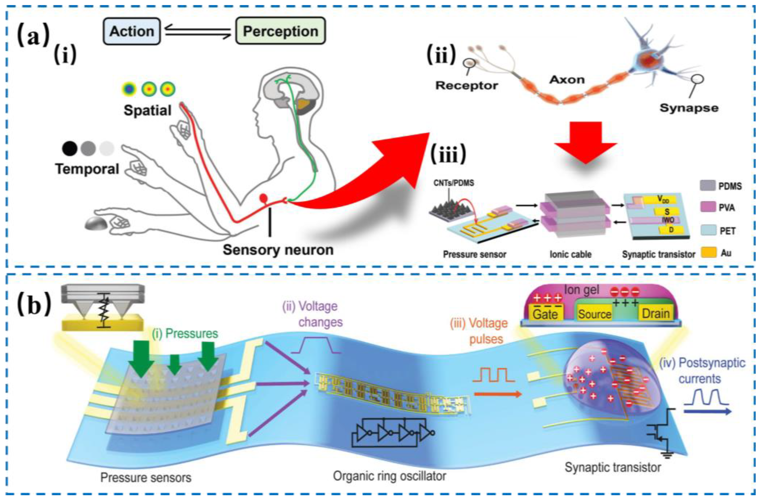 Nanomaterials 14 00465 g004 Nanomaterials 14 00465 g004