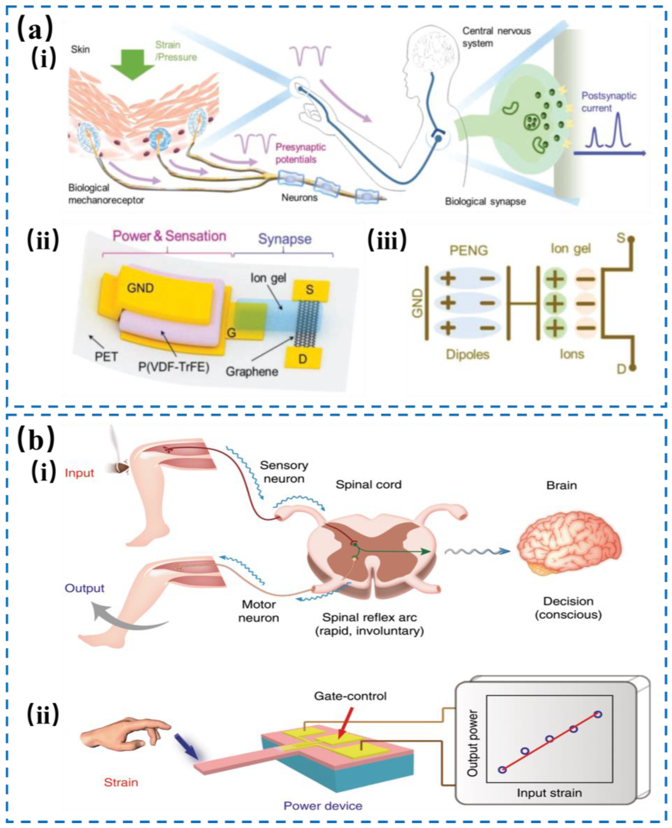 Nanomaterials 14 00465 g006 Nanomaterials 14 00465 g006