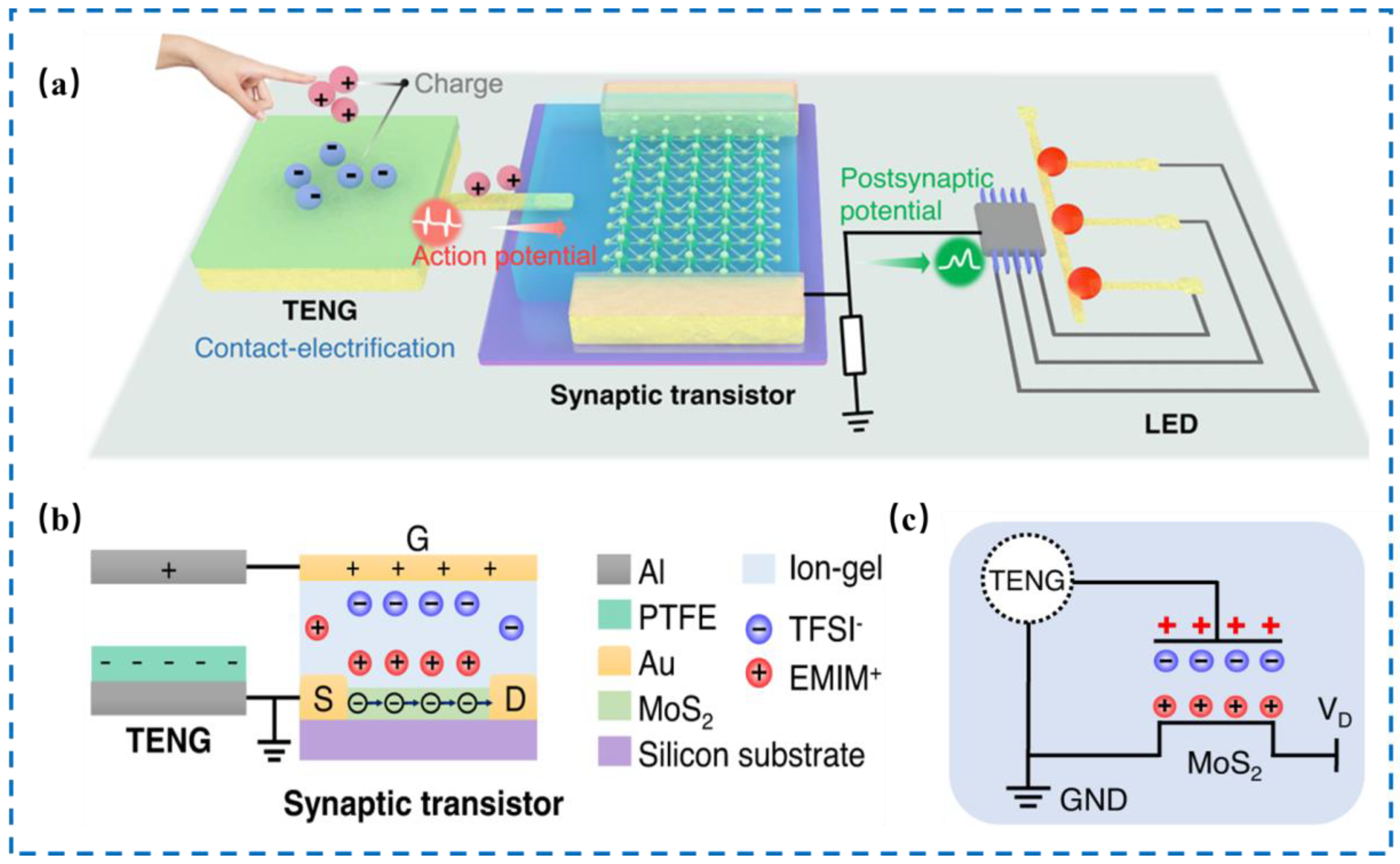 Nanomaterials 14 00465 g007 Nanomaterials 14 00465 g007