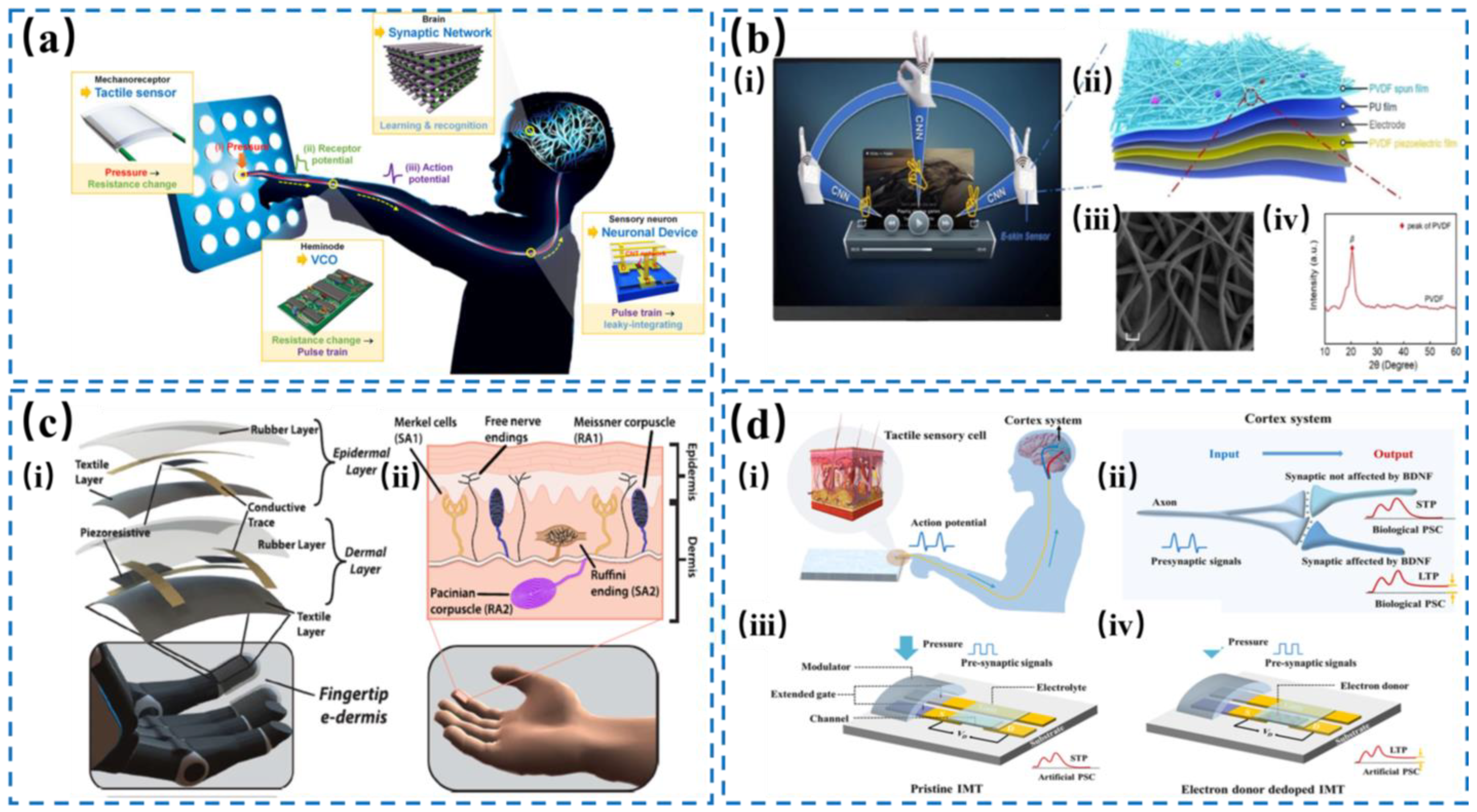 Nanomaterials 14 00465 g010 Nanomaterials 14 00465 g010