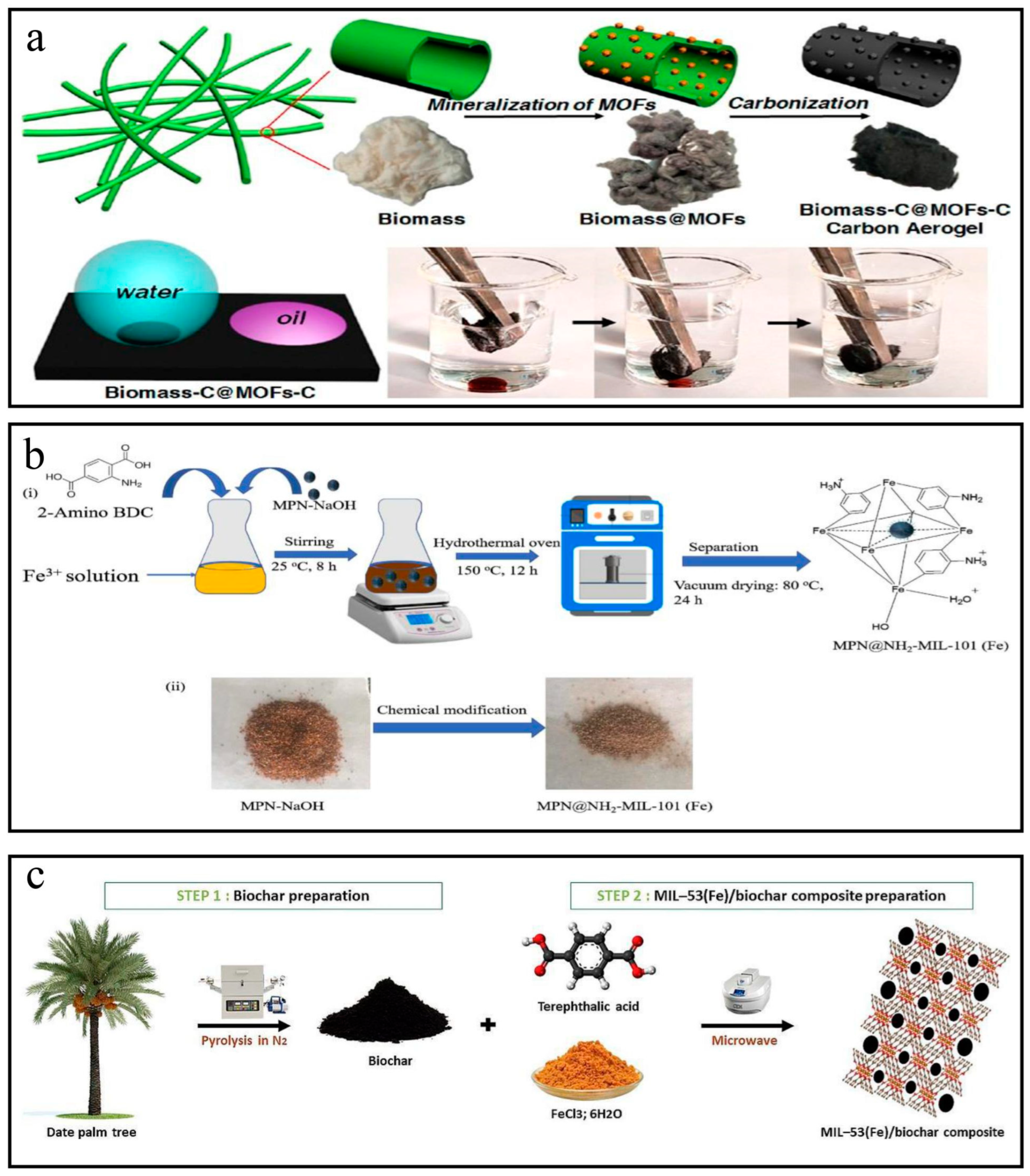 Nanomaterials 14 00473 g011