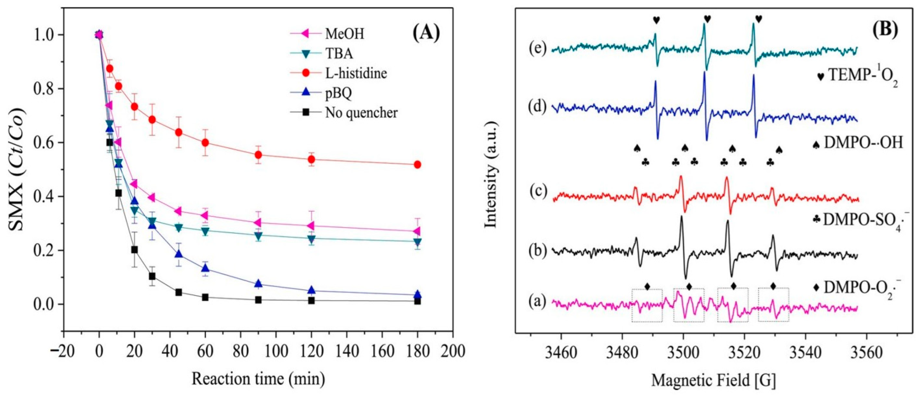 Nanomaterials 14 00473 g024
