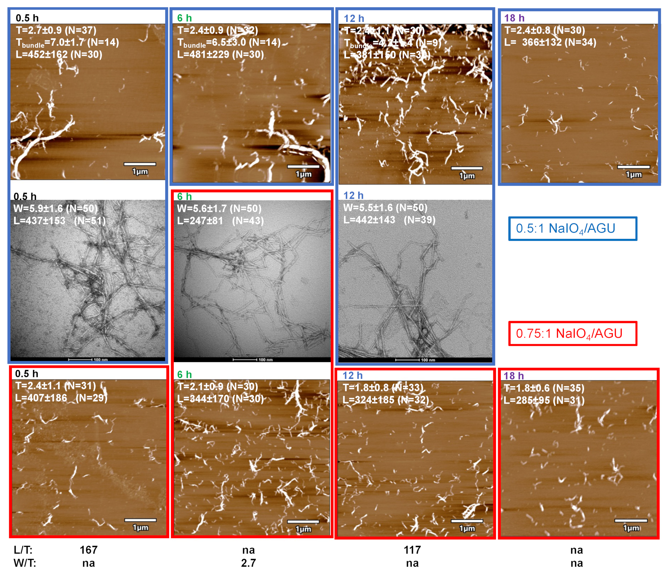 Nanomaterials 14 00479 g005
