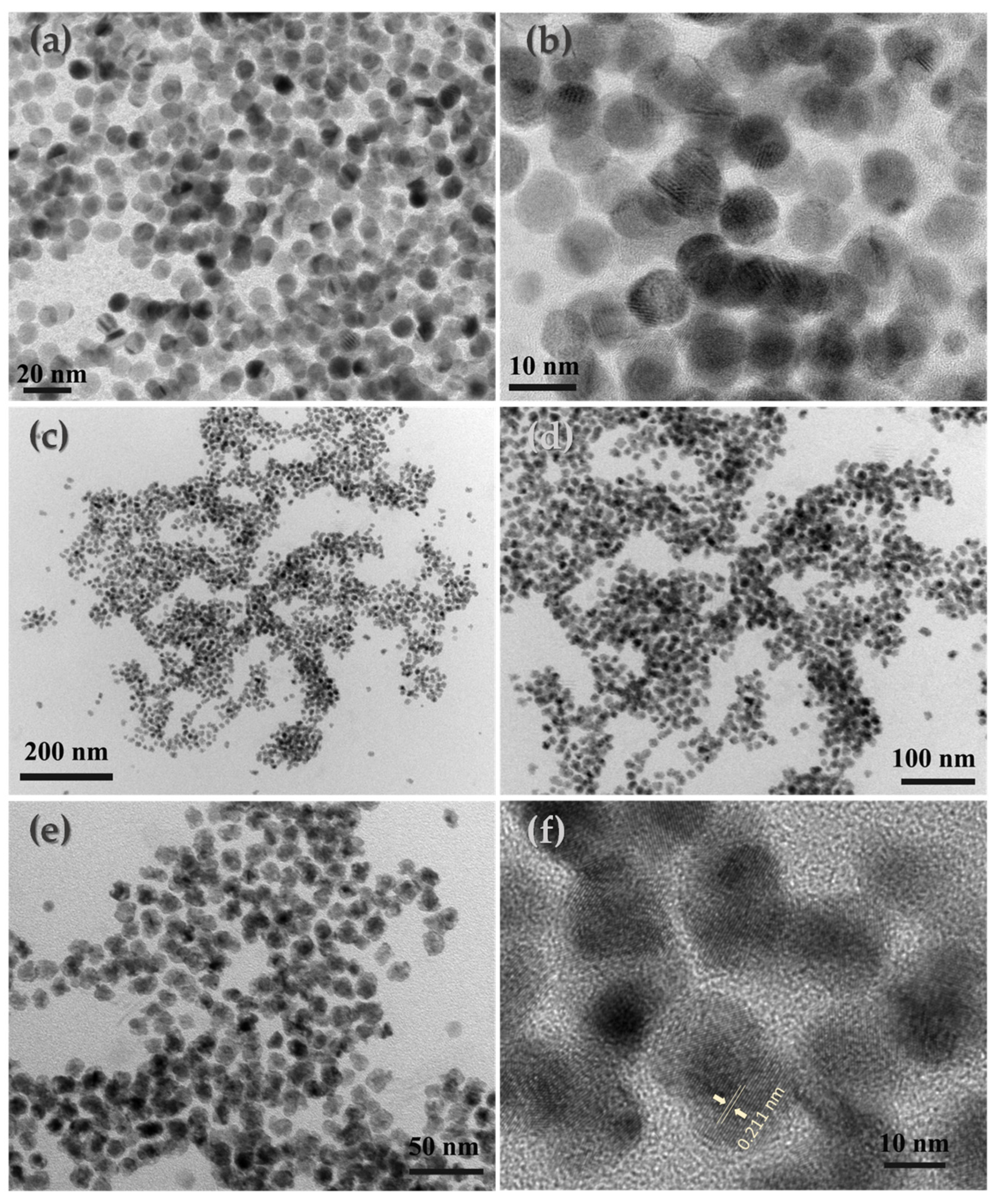 Nanomaterials 14 00482 g001
