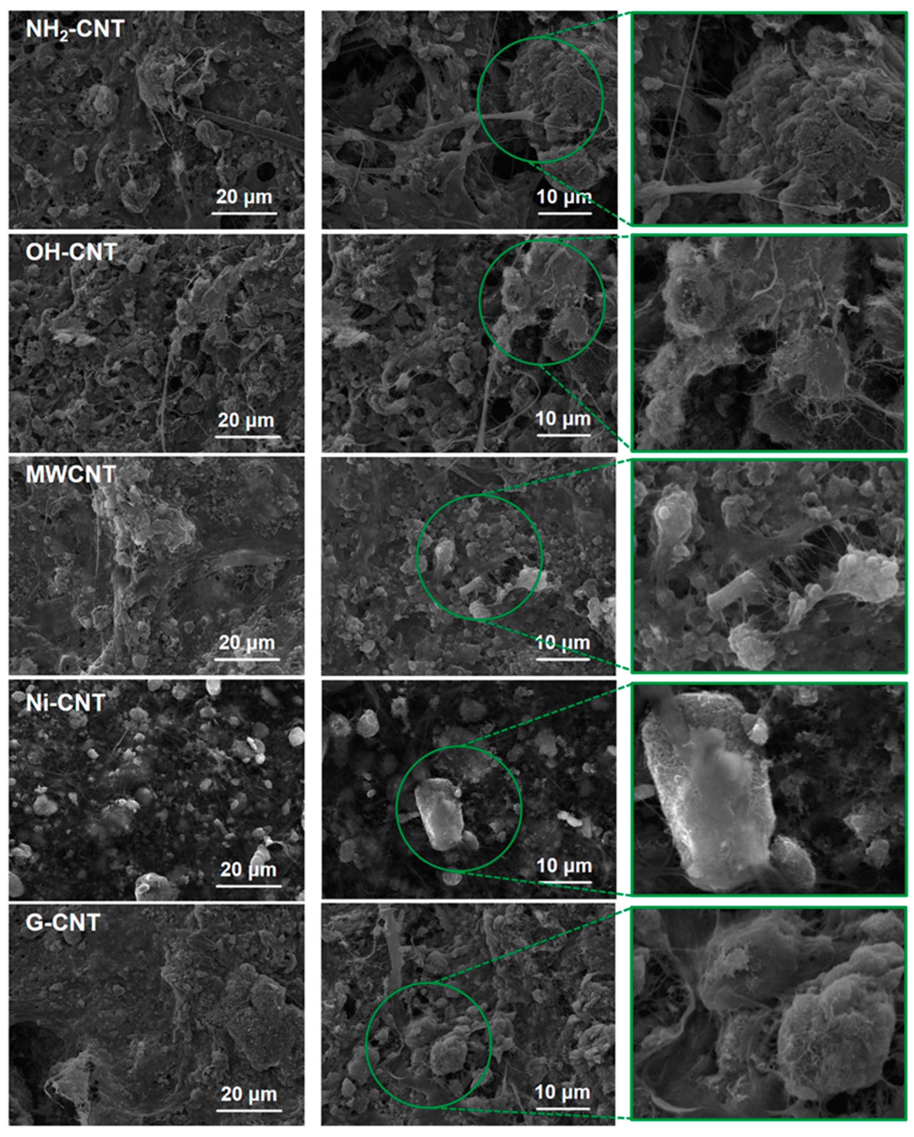 Nanomaterials 14 00484 g002