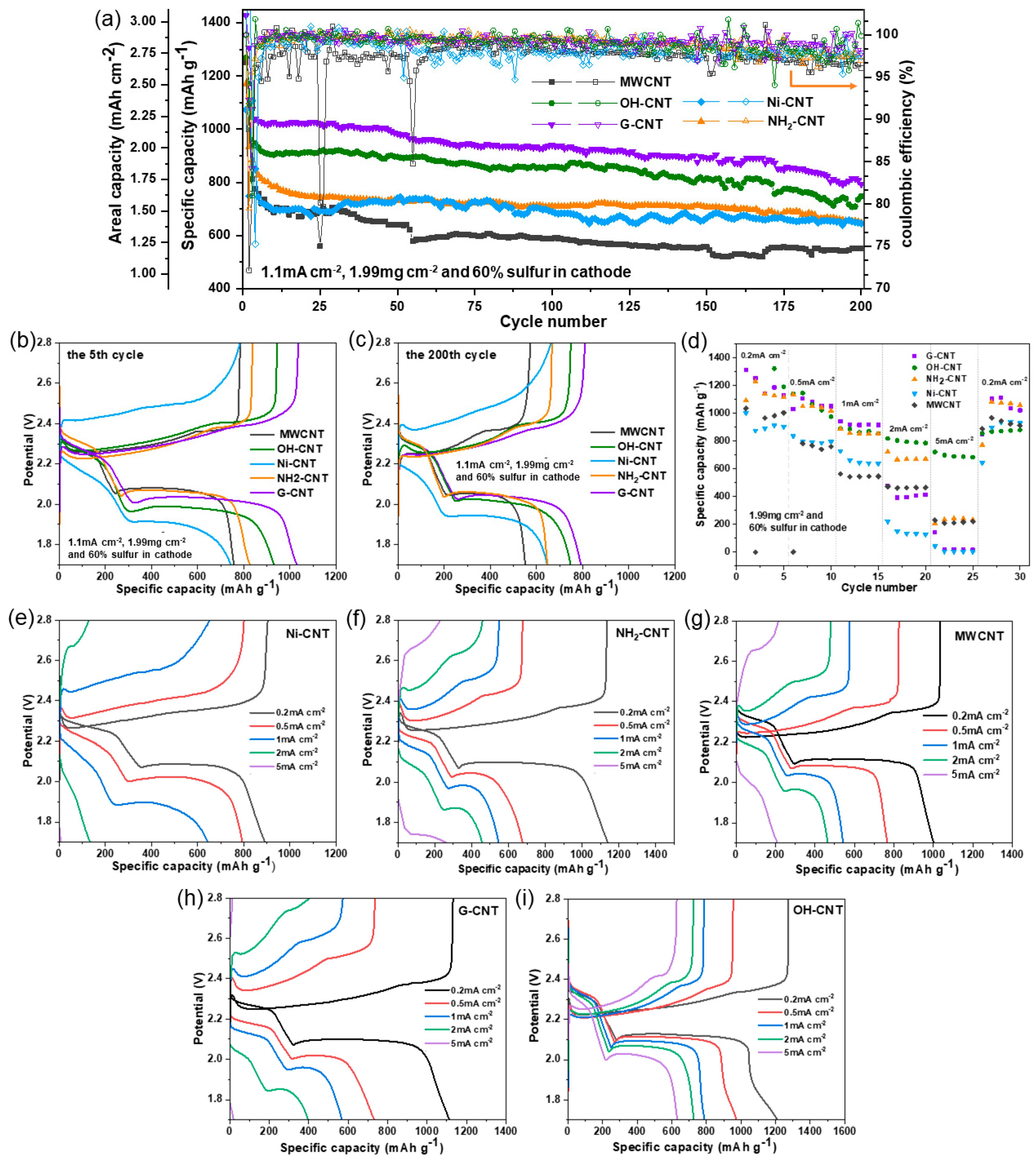 Nanomaterials 14 00484 g006