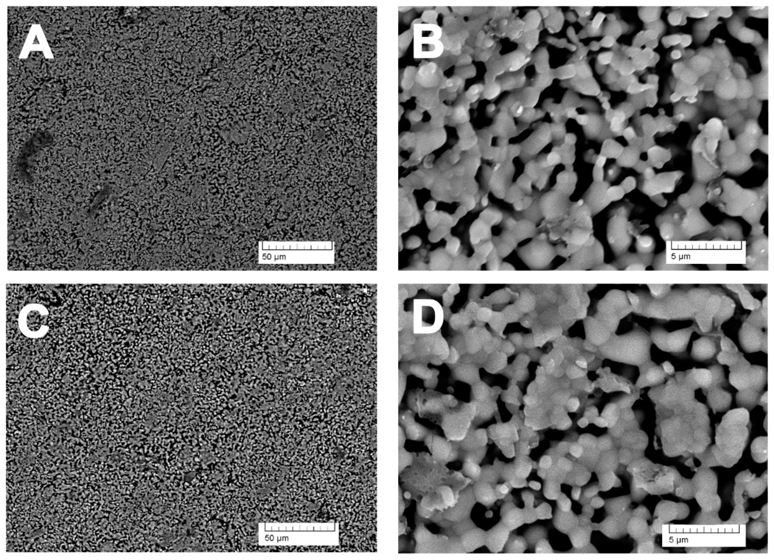 Nanomaterials 14 00495 g003