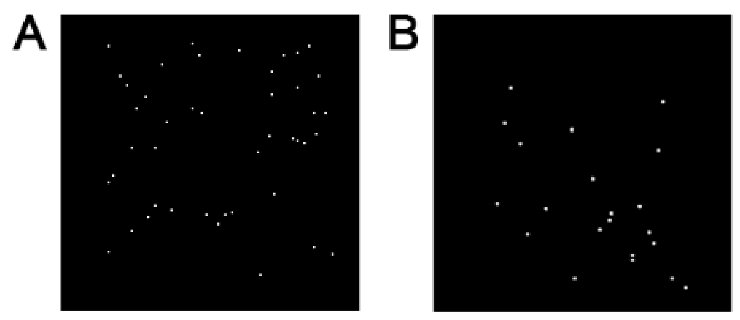 Nanomaterials 14 00495 g005