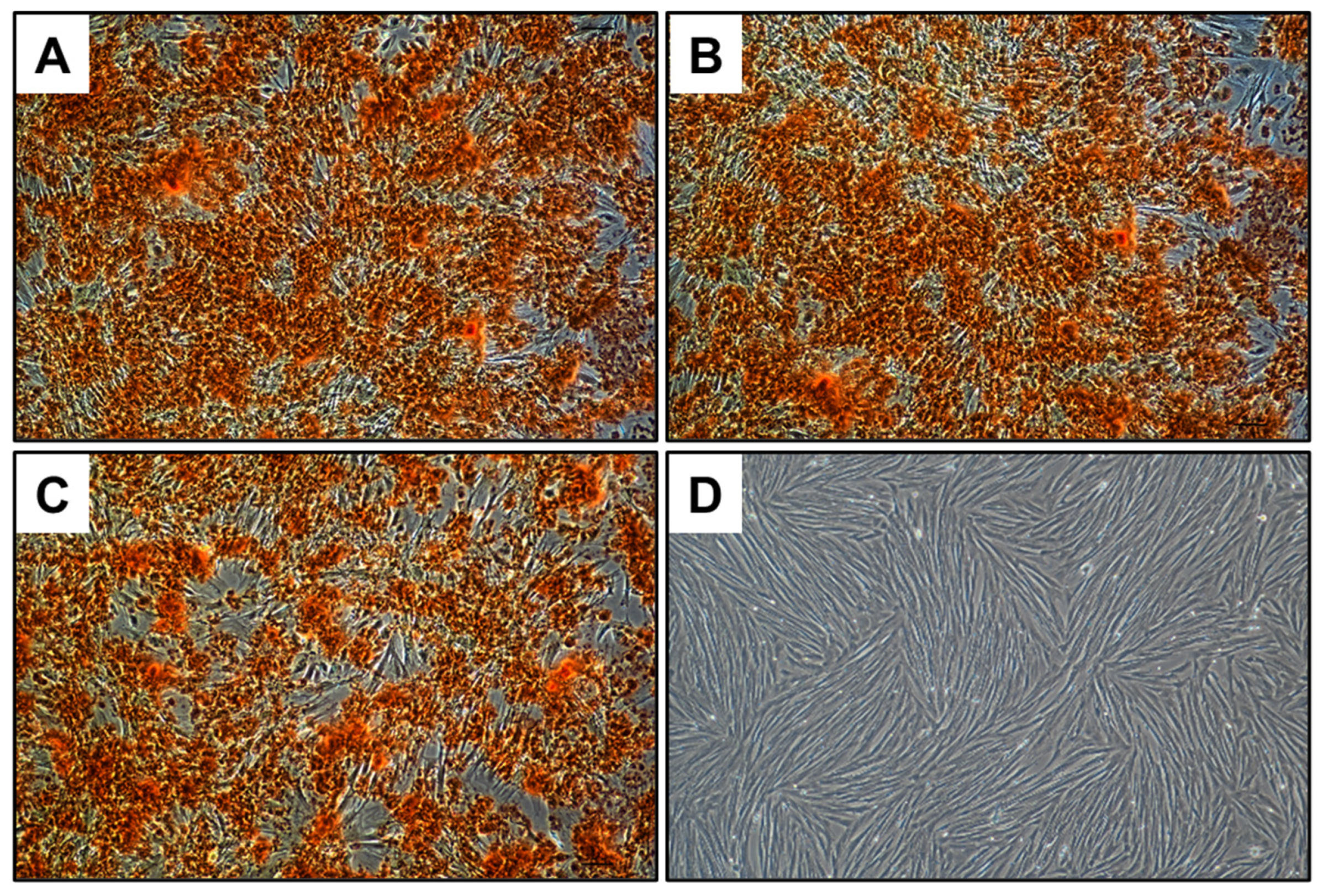 Nanomaterials 14 00495 g009