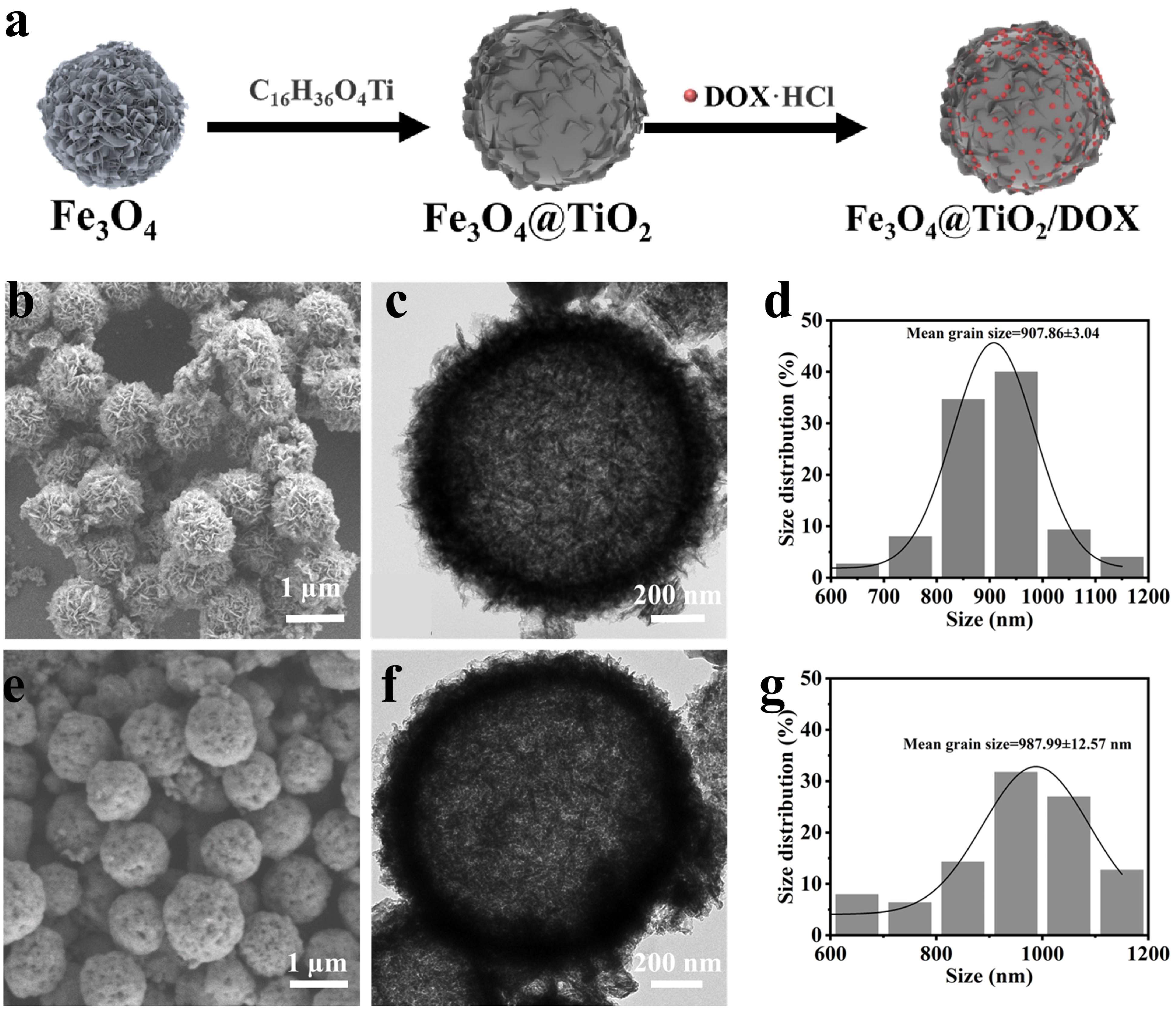 Nanomaterials 14 00498 g001