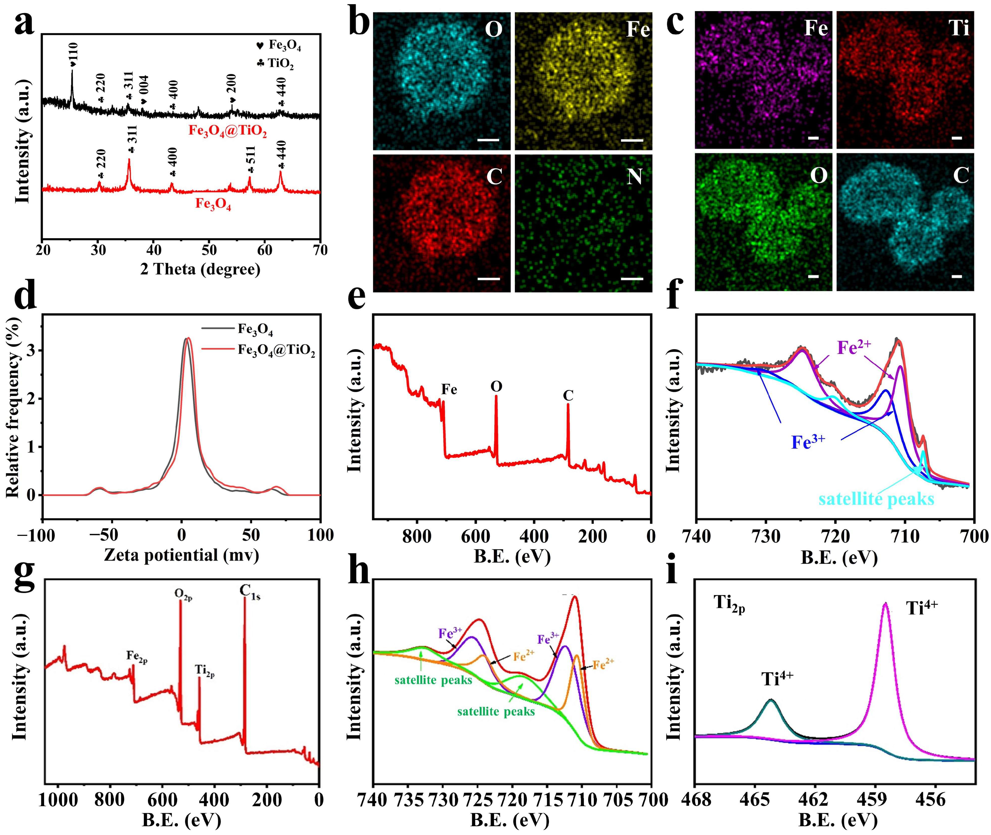 Nanomaterials 14 00498 g002