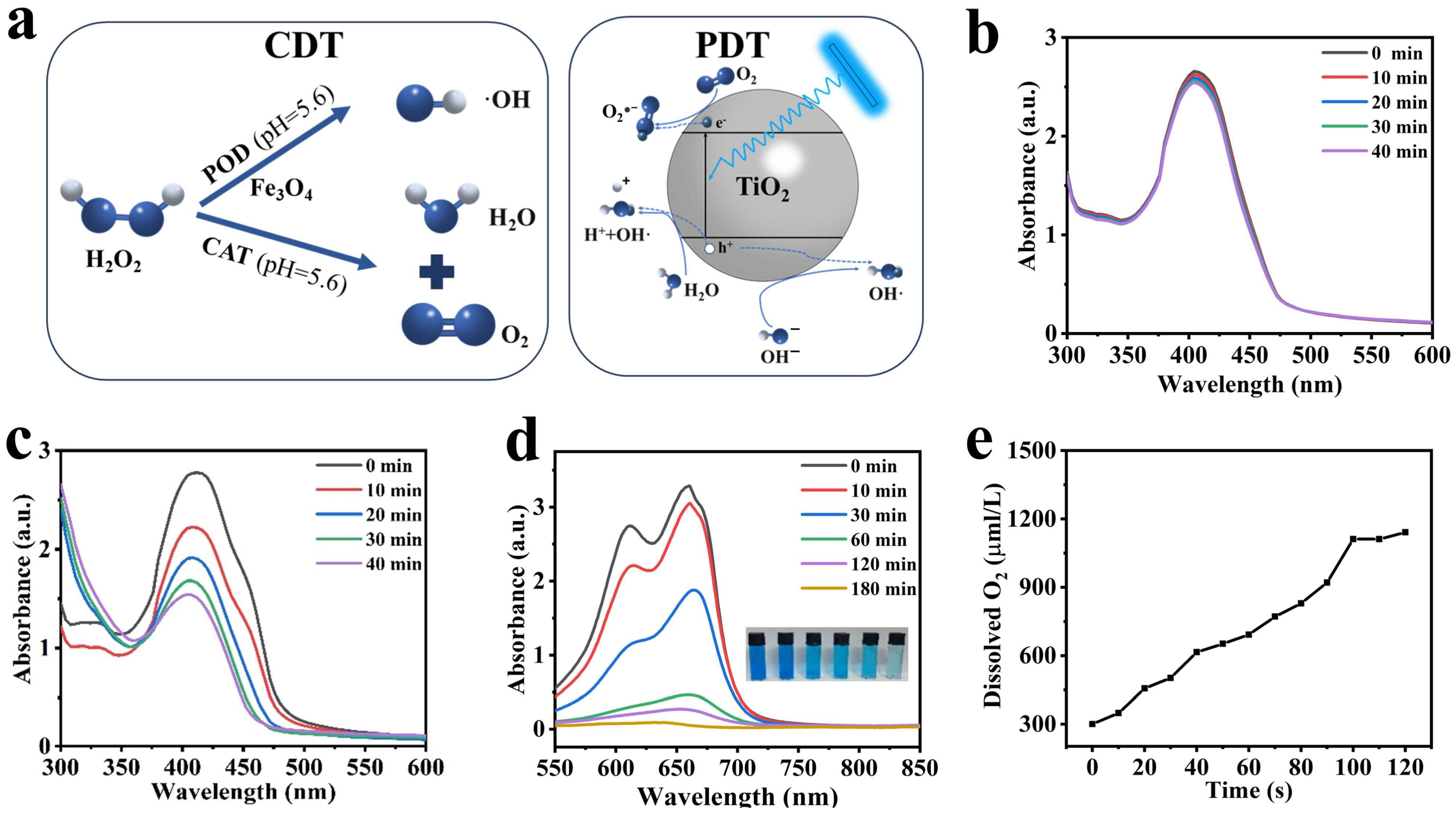 Nanomaterials 14 00498 g003