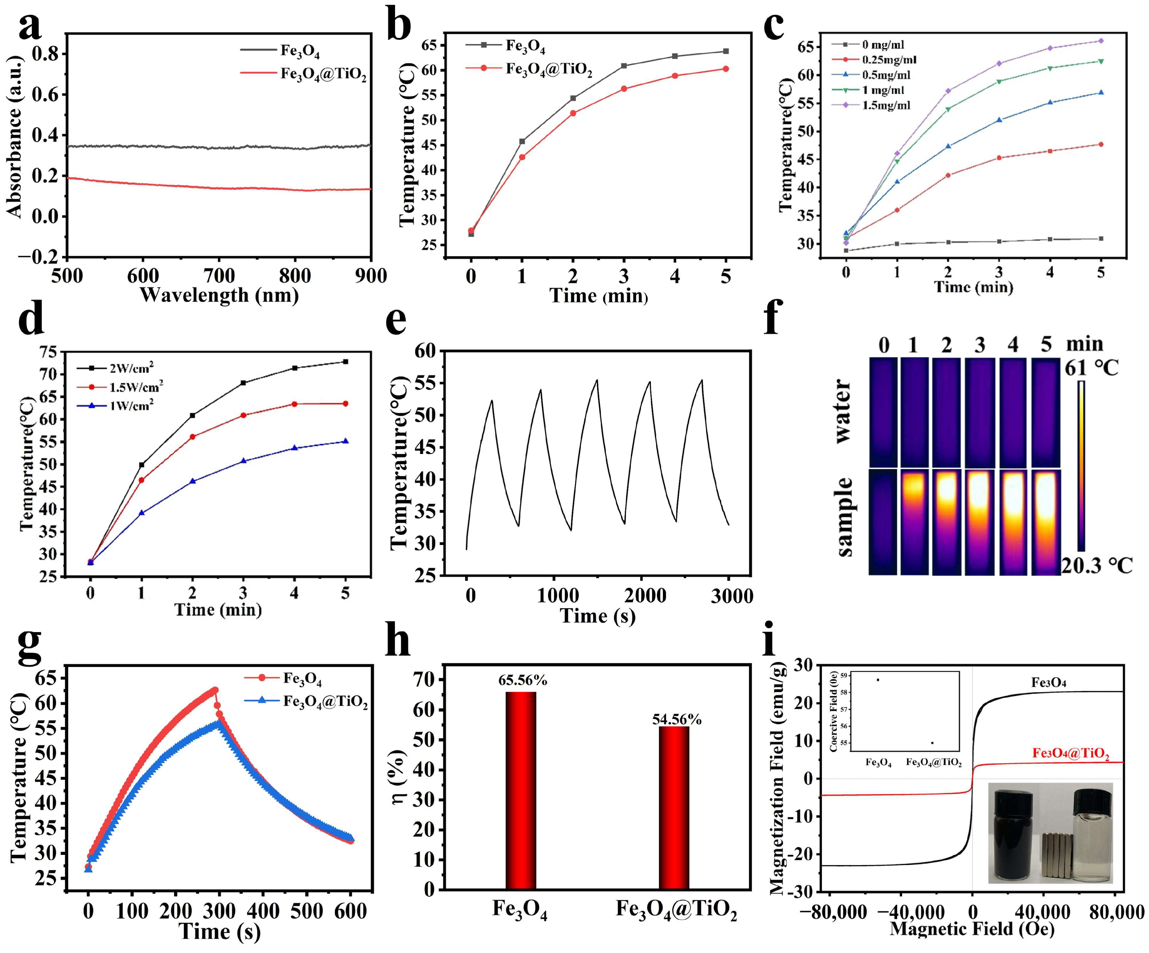 Nanomaterials 14 00498 g004