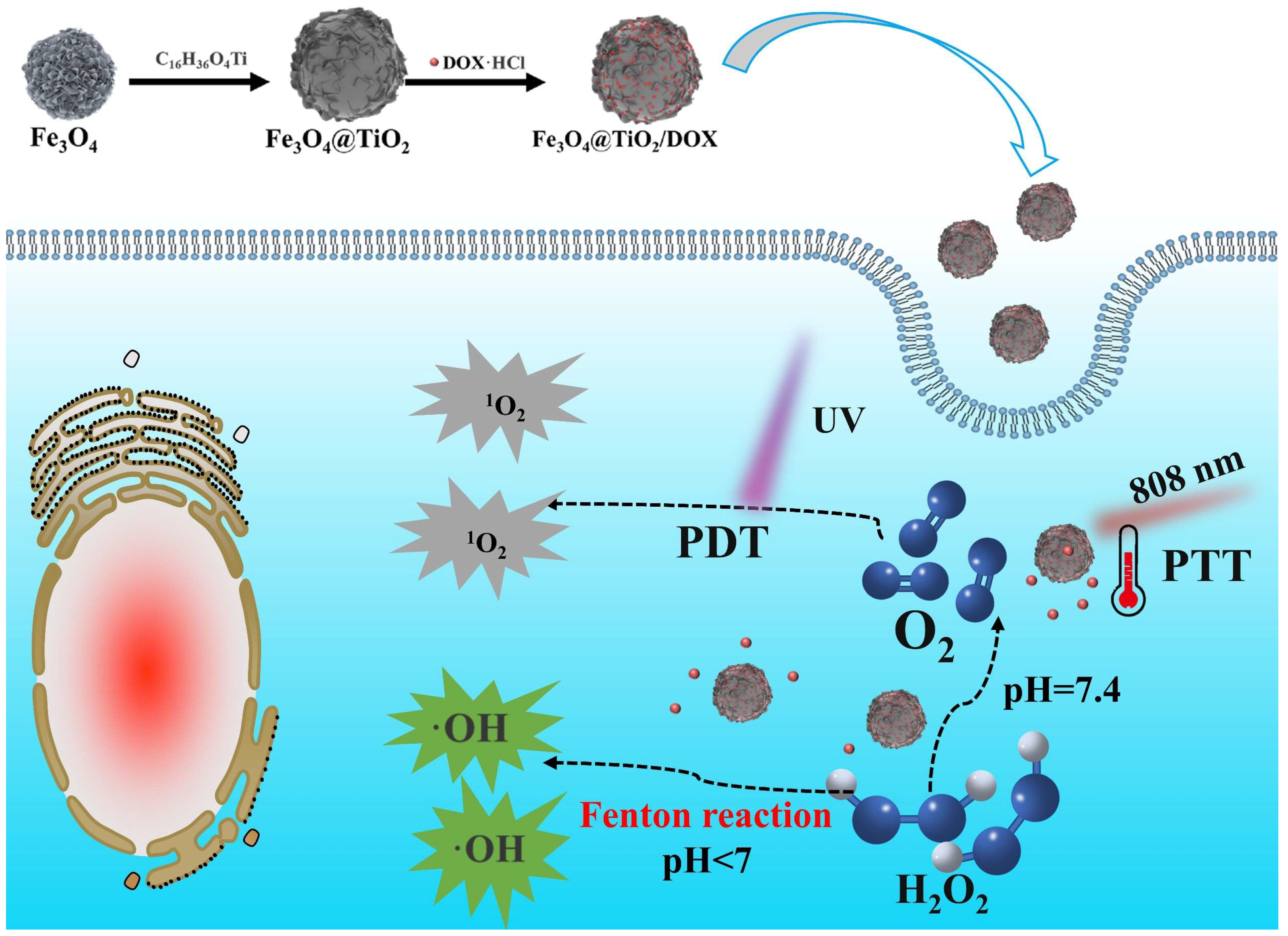 Nanomaterials 14 00498 sch001