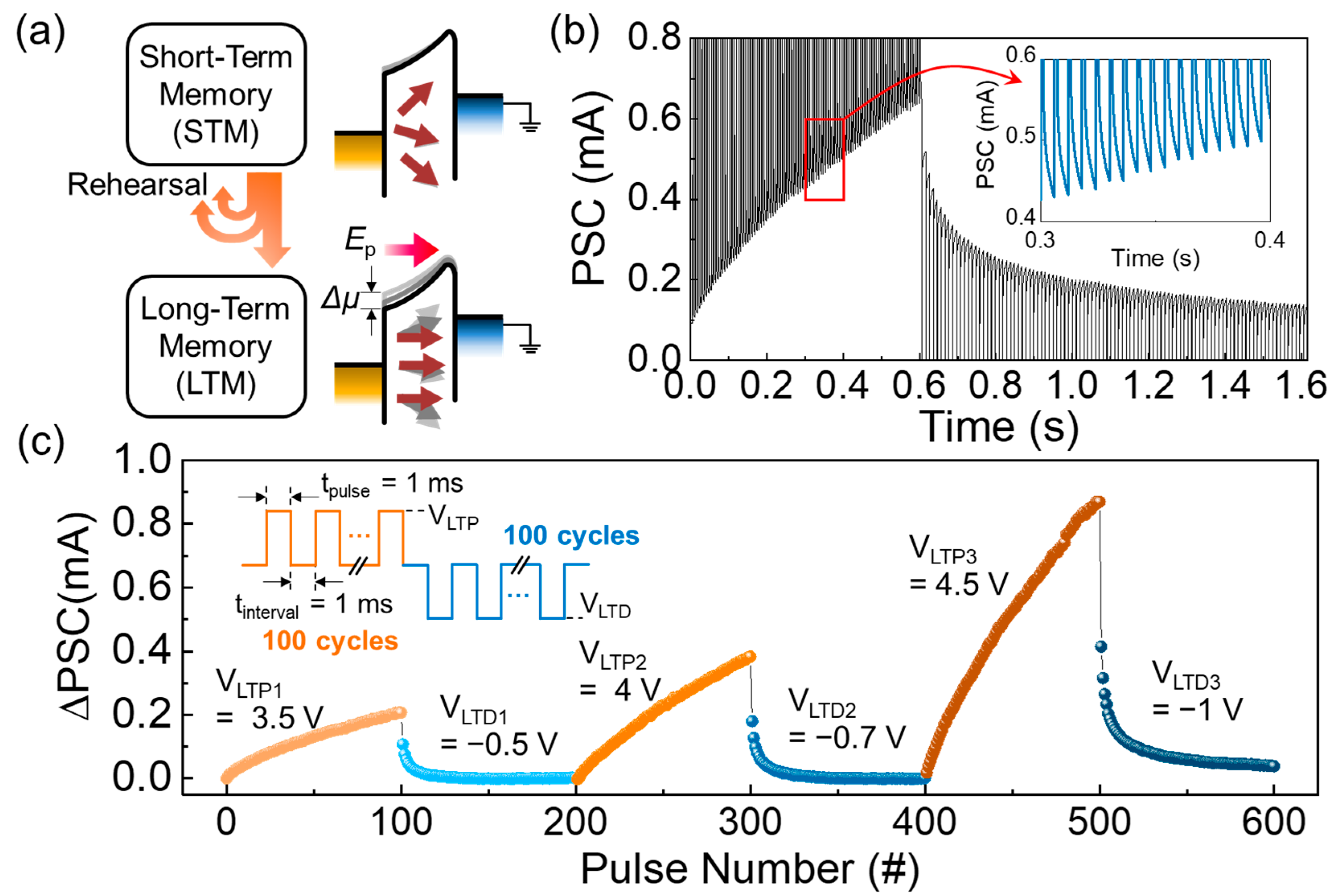 Nanomaterials 14 00506 g006